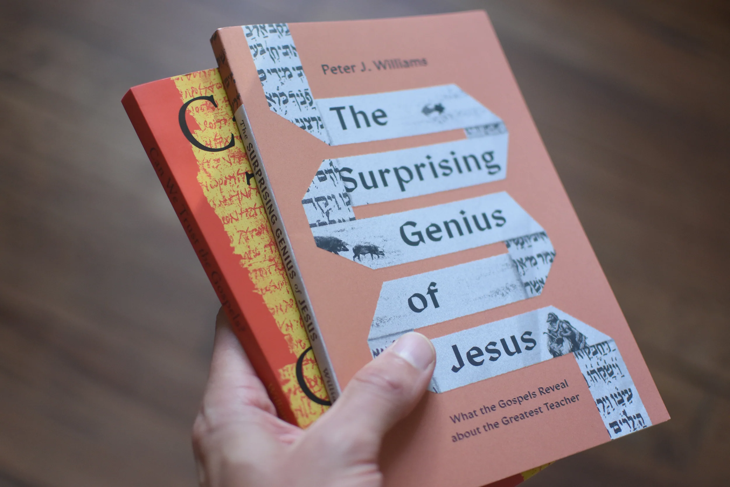Peter J. Williams Gospels Bundle - Image 4
