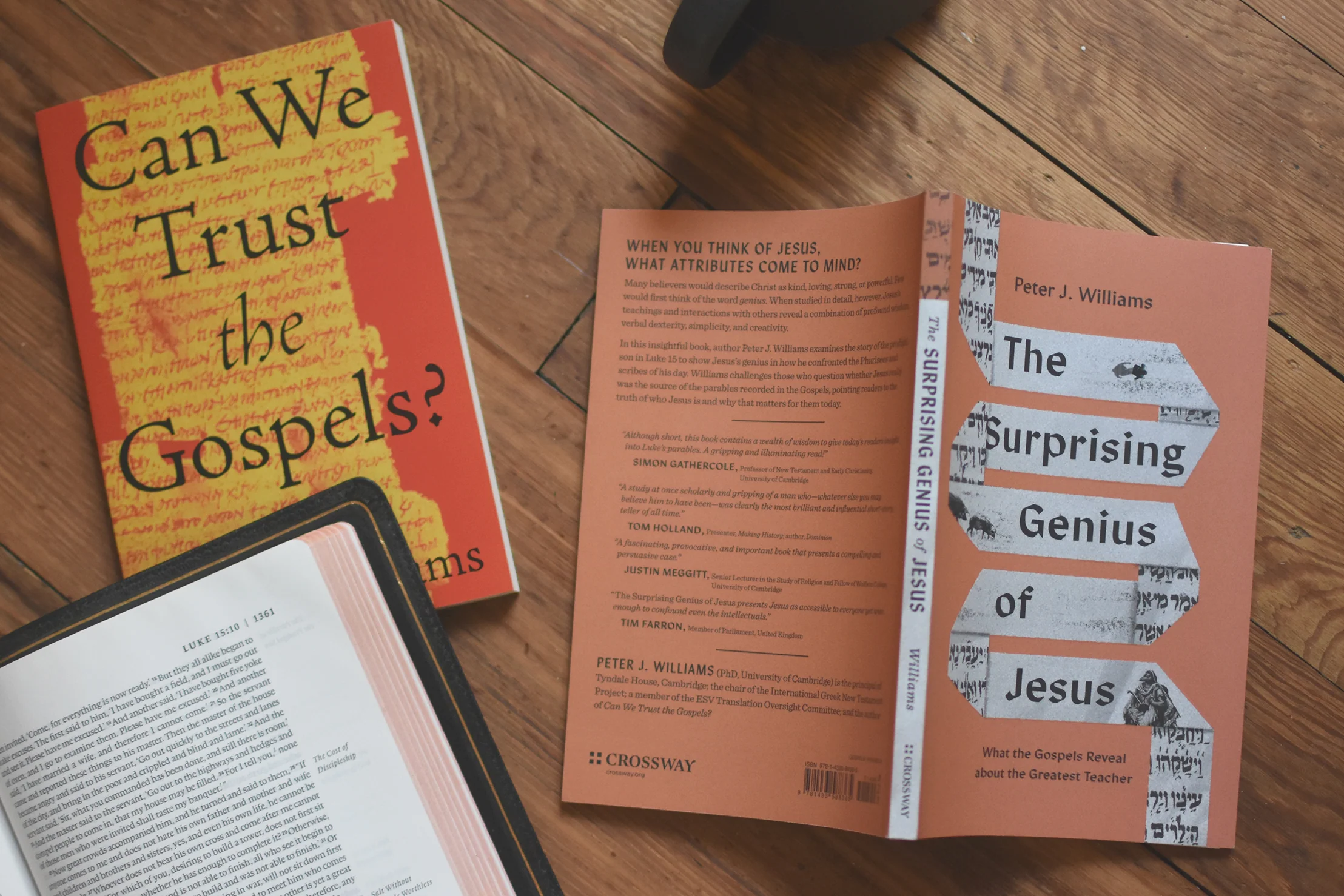 Peter J. Williams Gospels Bundle - Image 5