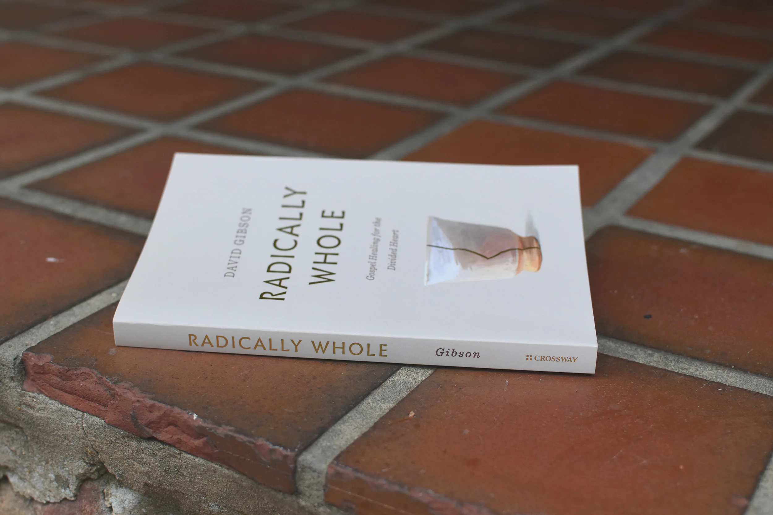 Radically Whole: Gospel Healing for the Divided Heart - Image 2