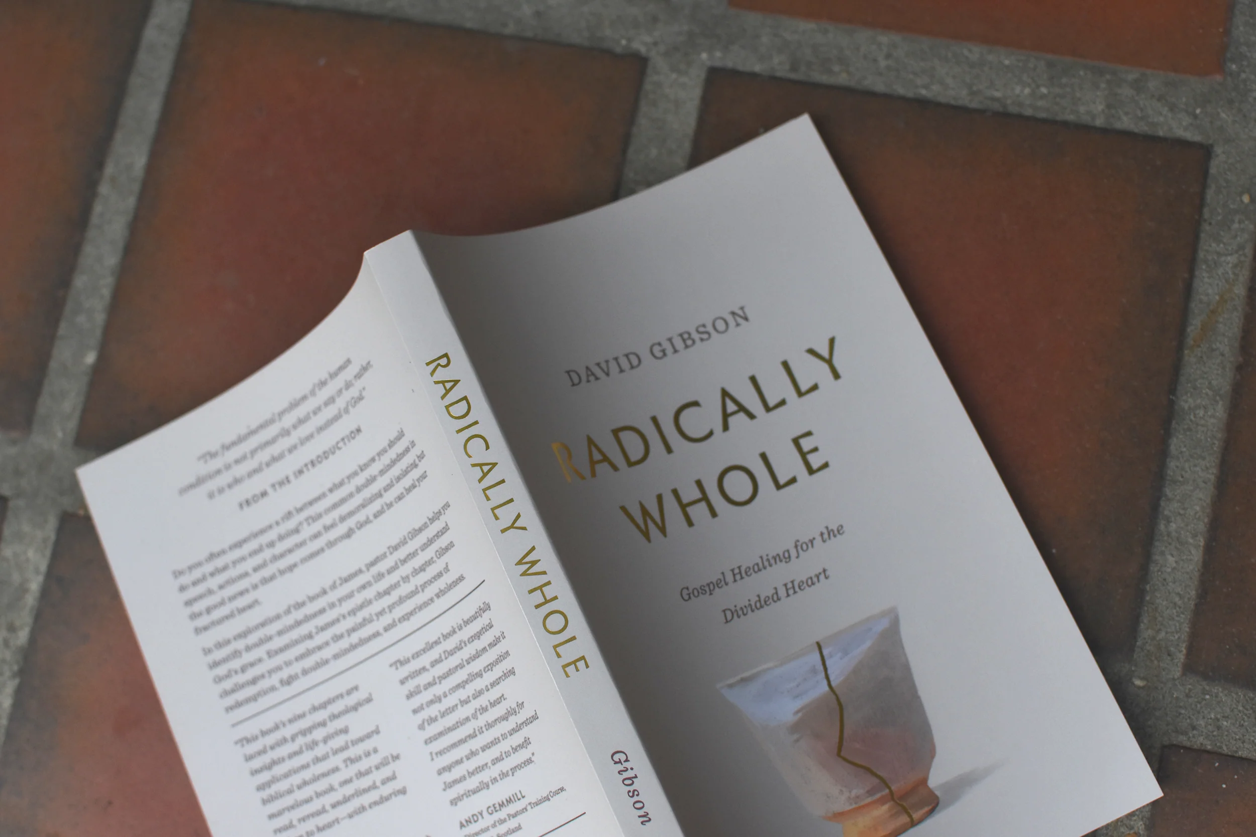 Radically Whole: Gospel Healing for the Divided Heart - Image 3