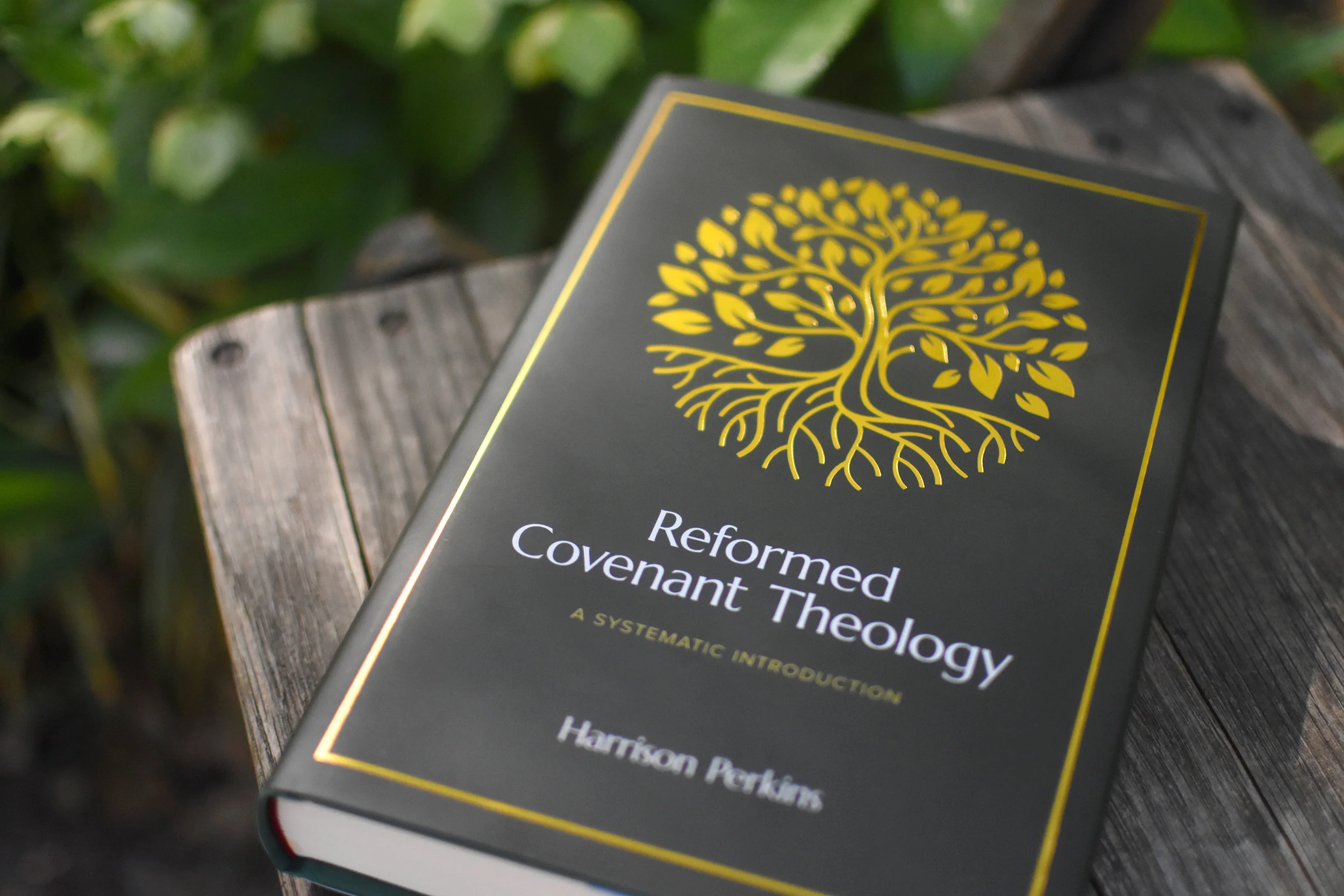 Reformed Covenant Theology: A Systematic Introduction - Image 2
