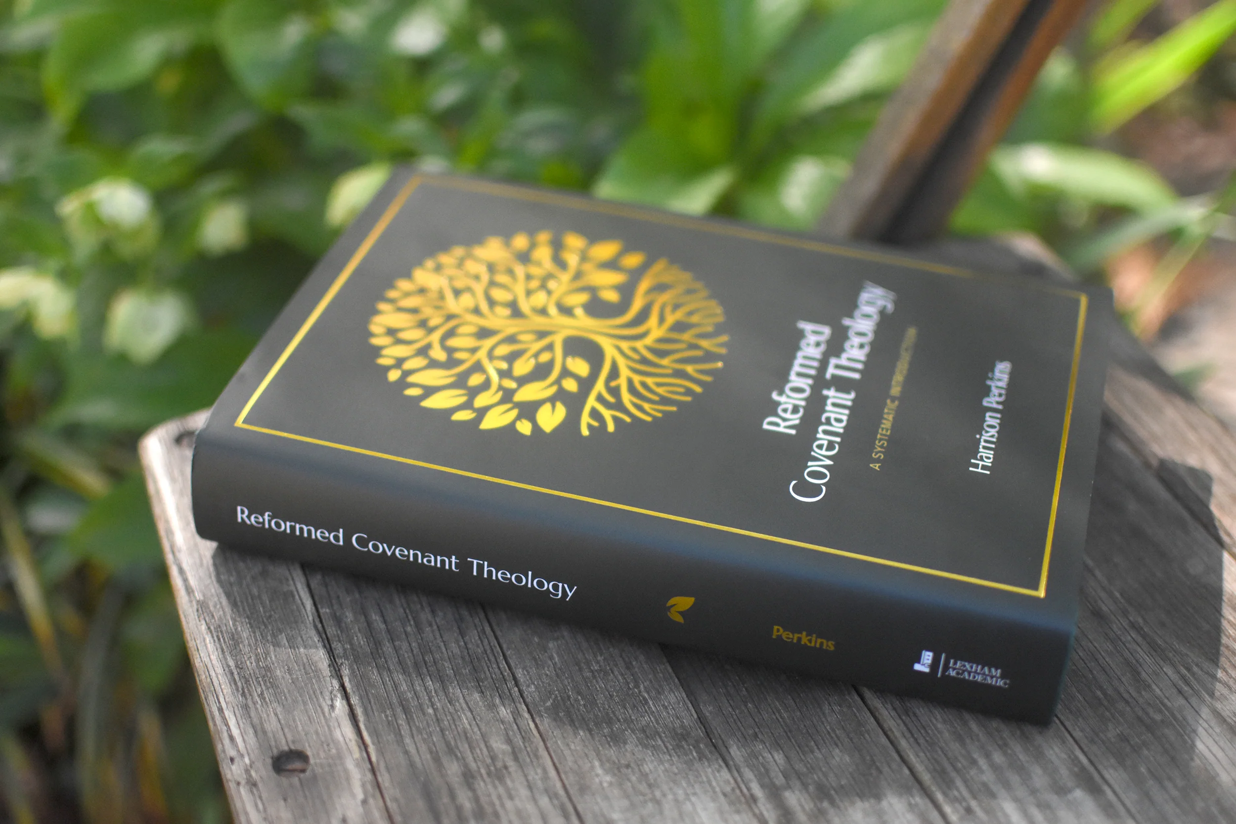 Reformed Covenant Theology: A Systematic Introduction - Image 3
