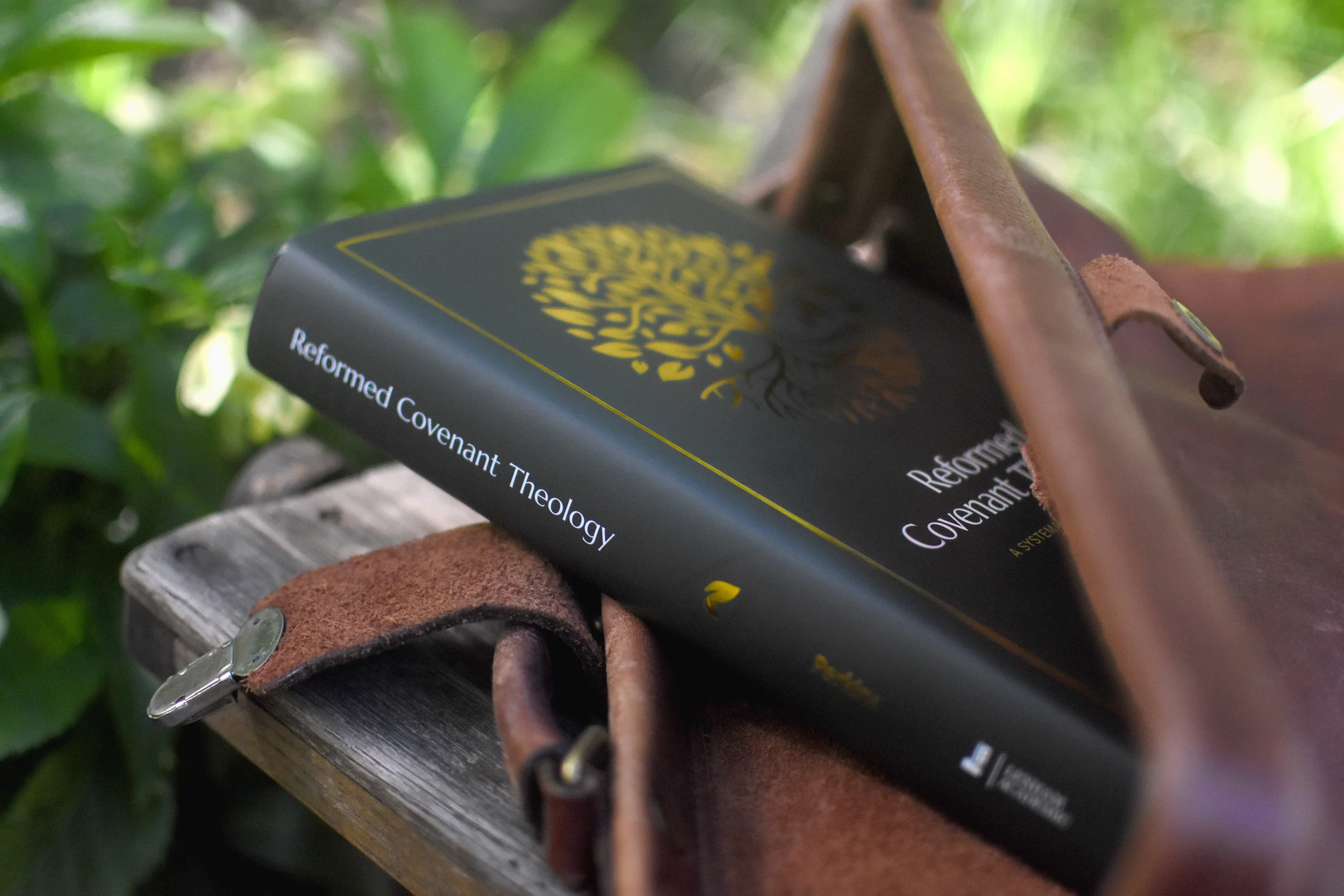 Reformed Covenant Theology: A Systematic Introduction - Image 4