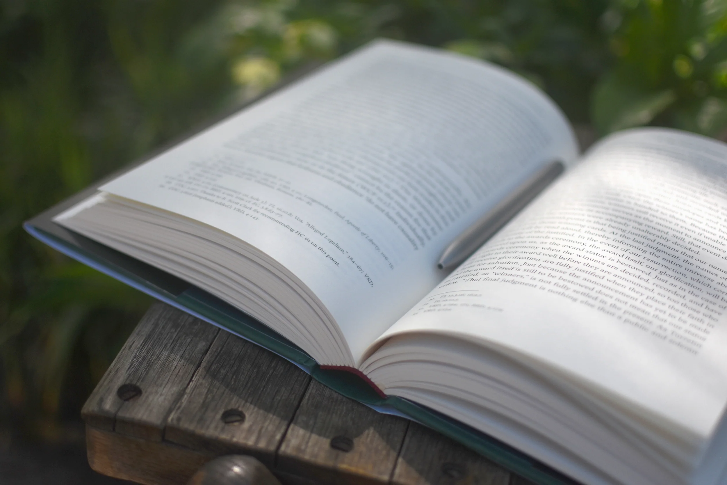 Reformed Covenant Theology: A Systematic Introduction - Image 6