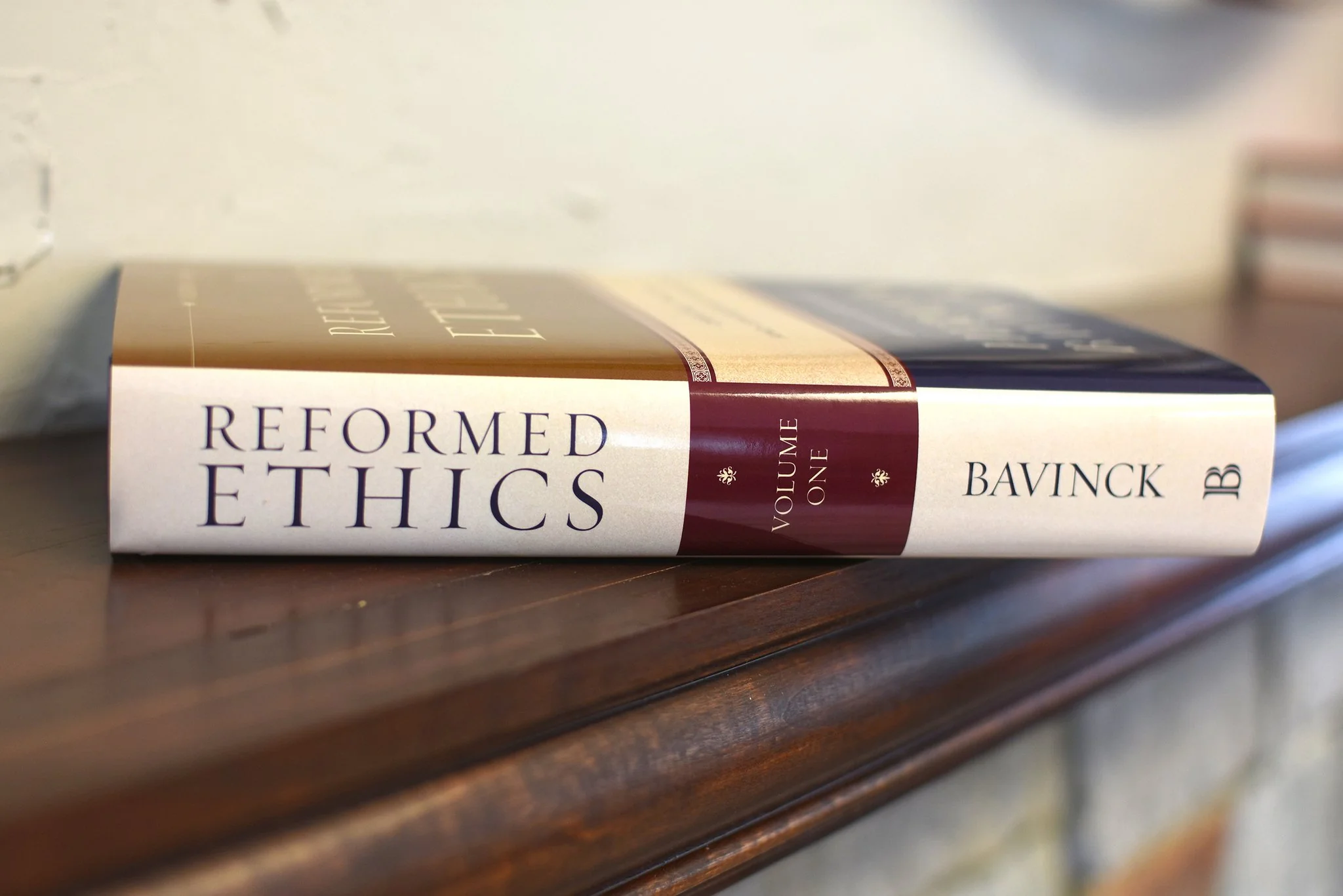 Reformed Ethics: Created, Fallen, and Converted Humanity (Volume 1) - Image 2