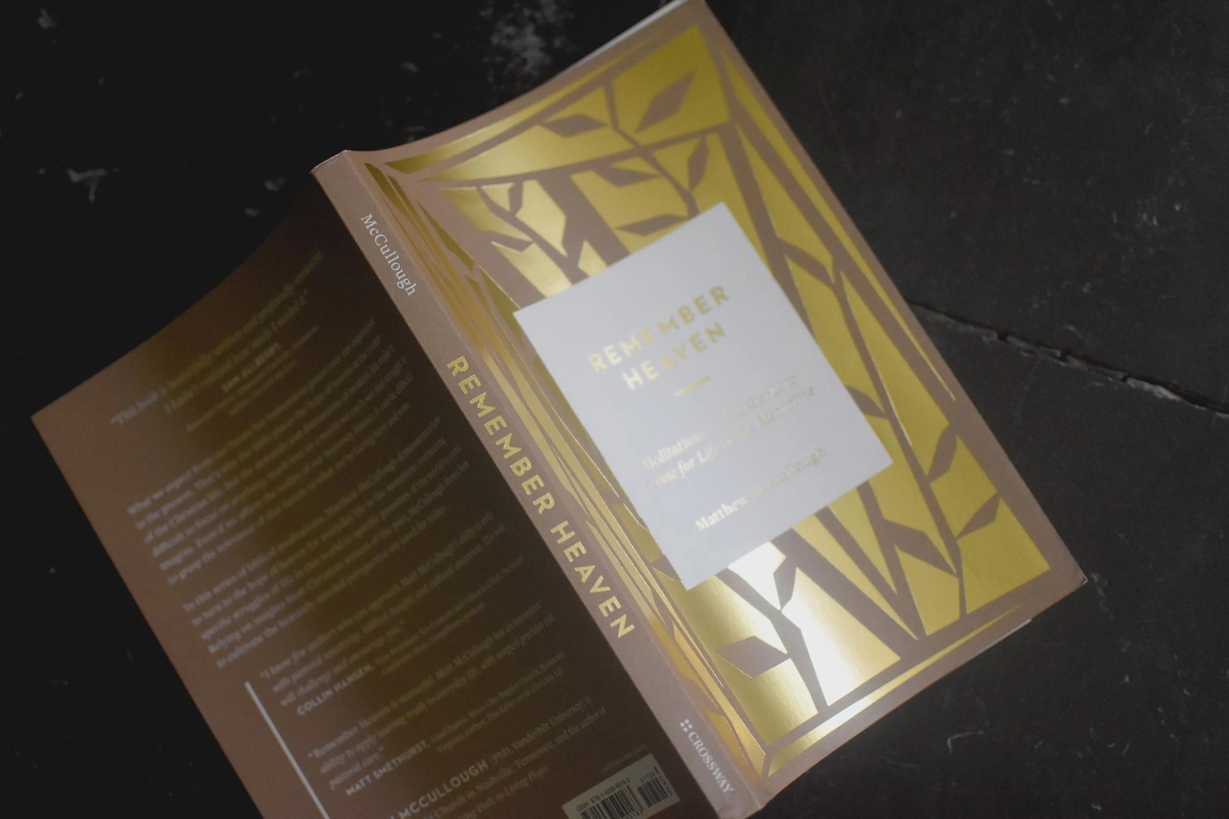 Remember Heaven: Meditations on the World to Come for Life in the Meantime - Image 4