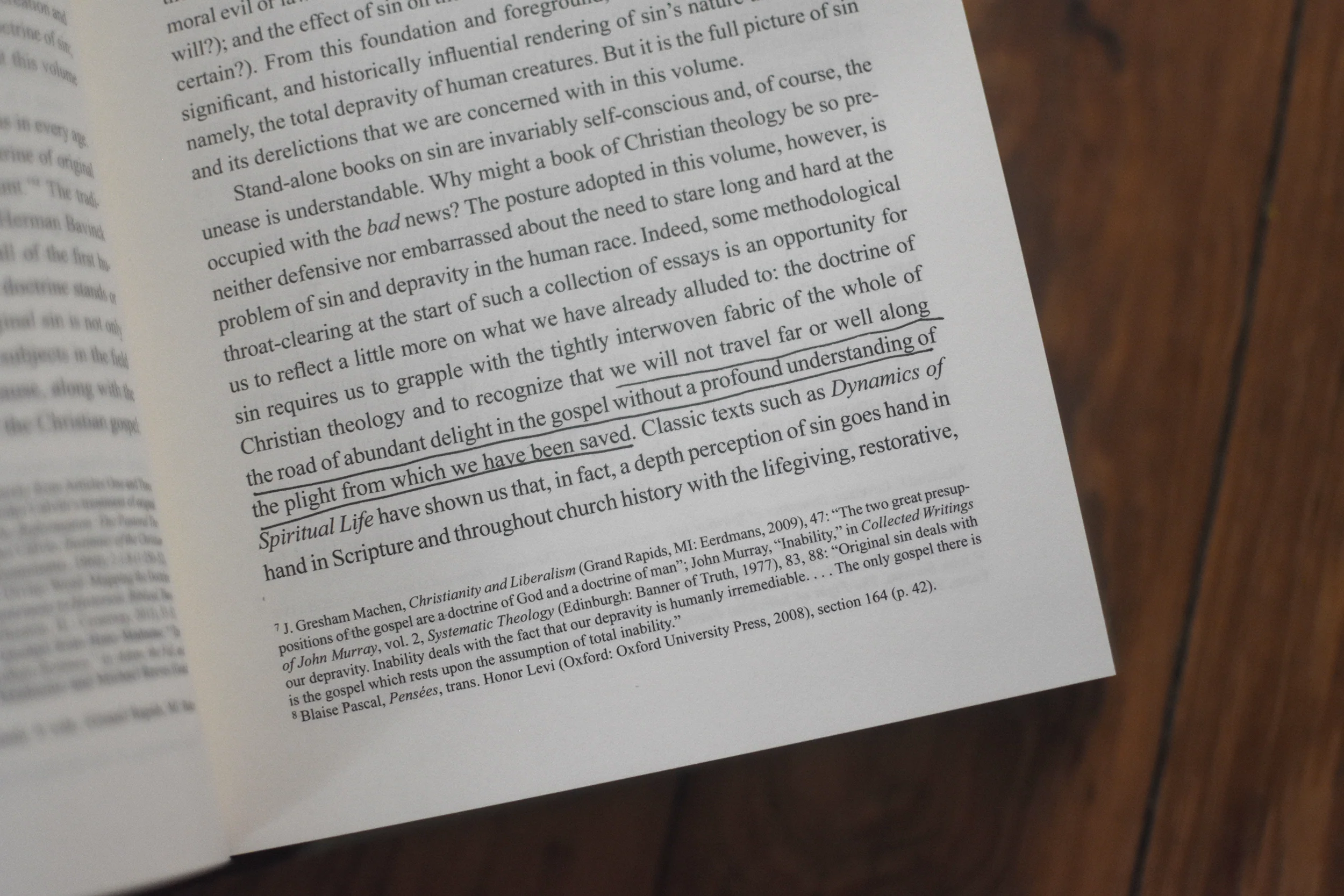 Ruined Sinners to Reclaim: Sin and Depravity in Historical, Biblical, Theological, and Pastoral Perspective - Image 3