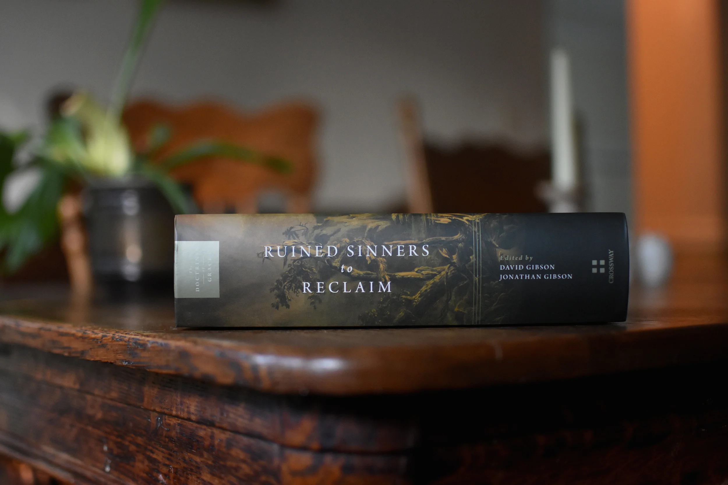 Ruined Sinners to Reclaim: Sin and Depravity in Historical, Biblical, Theological, and Pastoral Perspective - Image 6