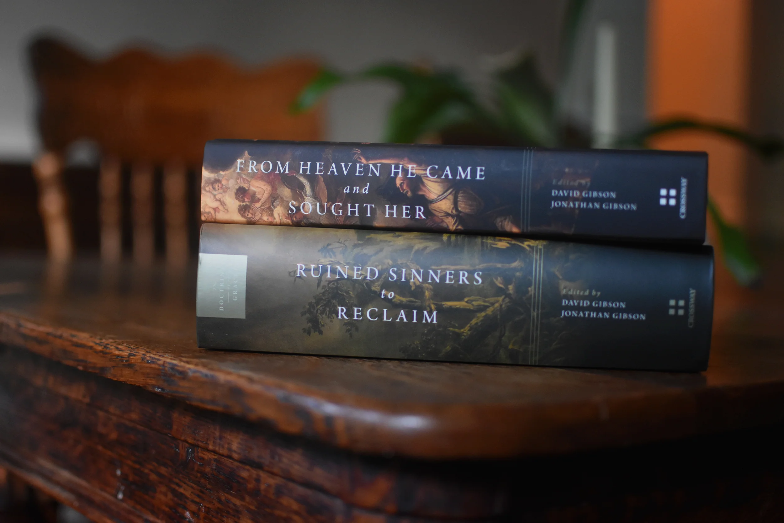 Ruined Sinners to Reclaim: Sin and Depravity in Historical, Biblical, Theological, and Pastoral Perspective - Image 7