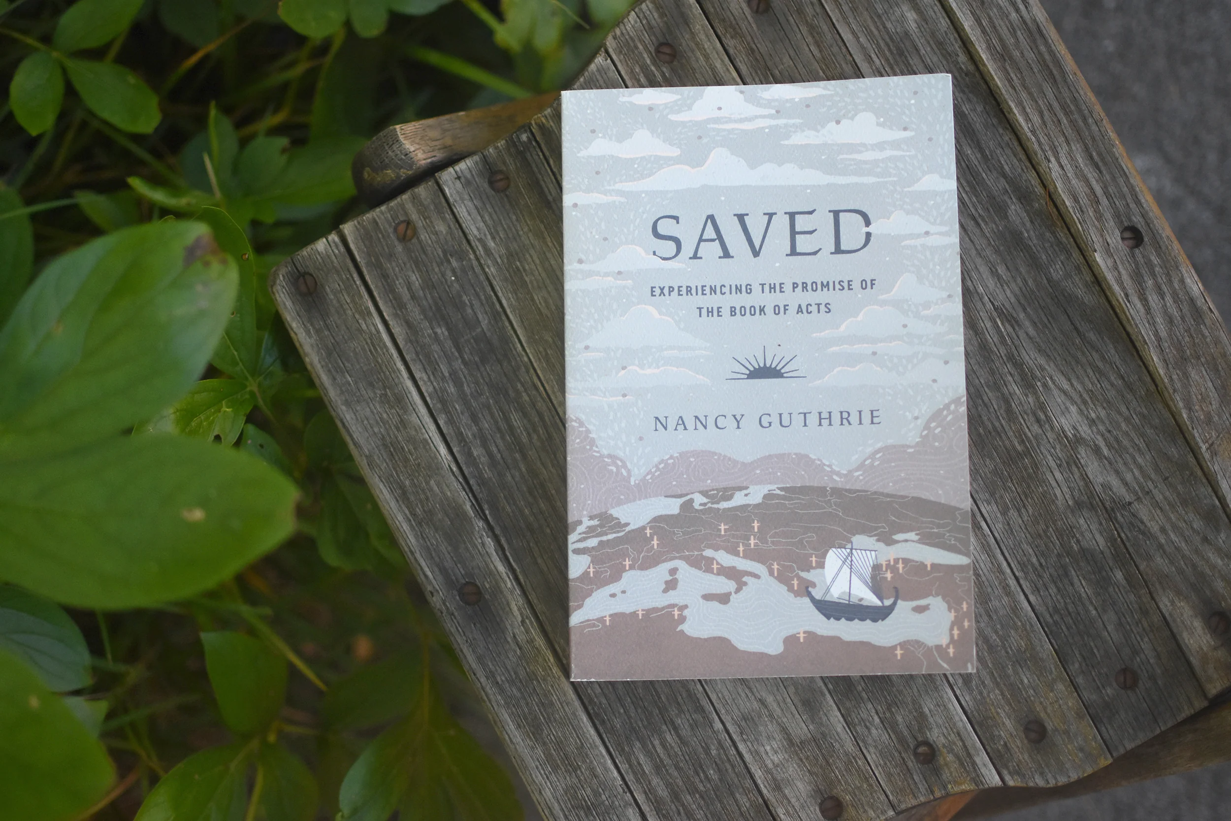 Saved: Experiencing the Promise of the Book of Acts - Image 3