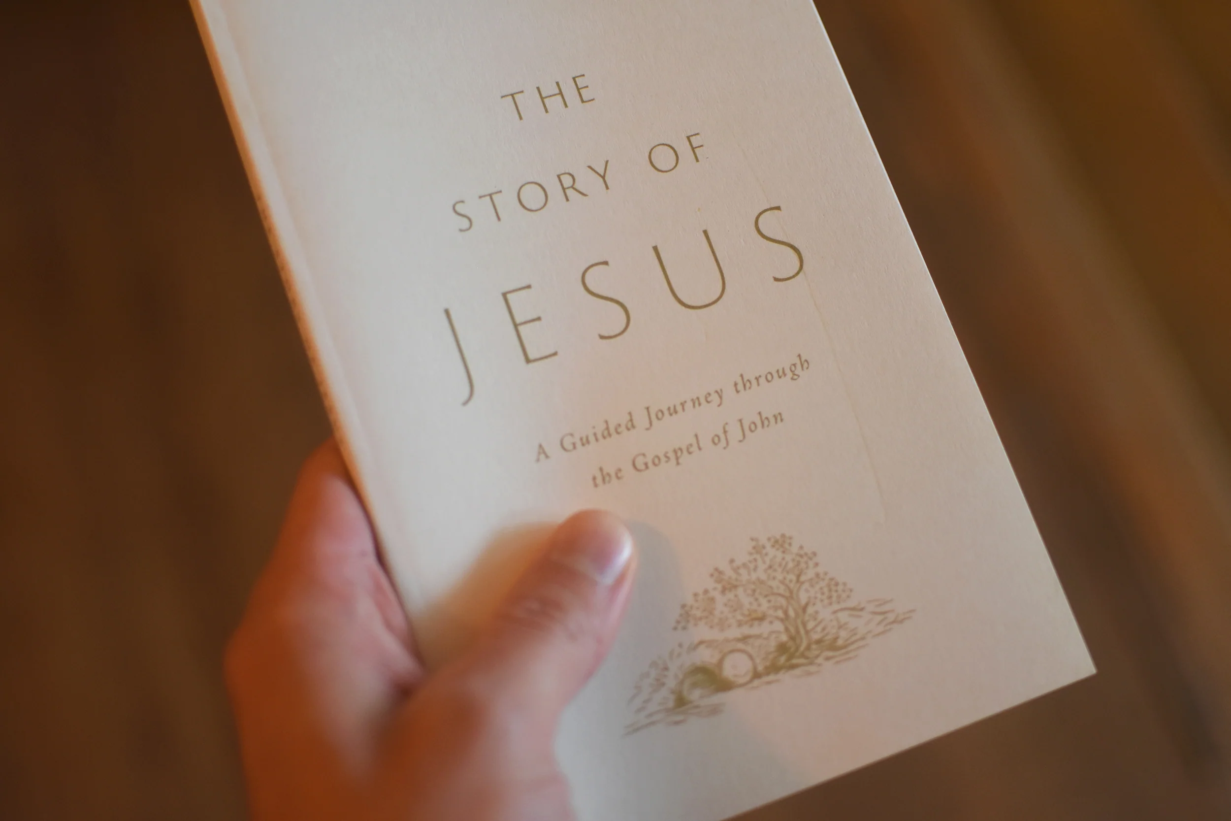 The Story of Jesus: A Guided Journey Through the Gospel of John (Paperback) - Image 2