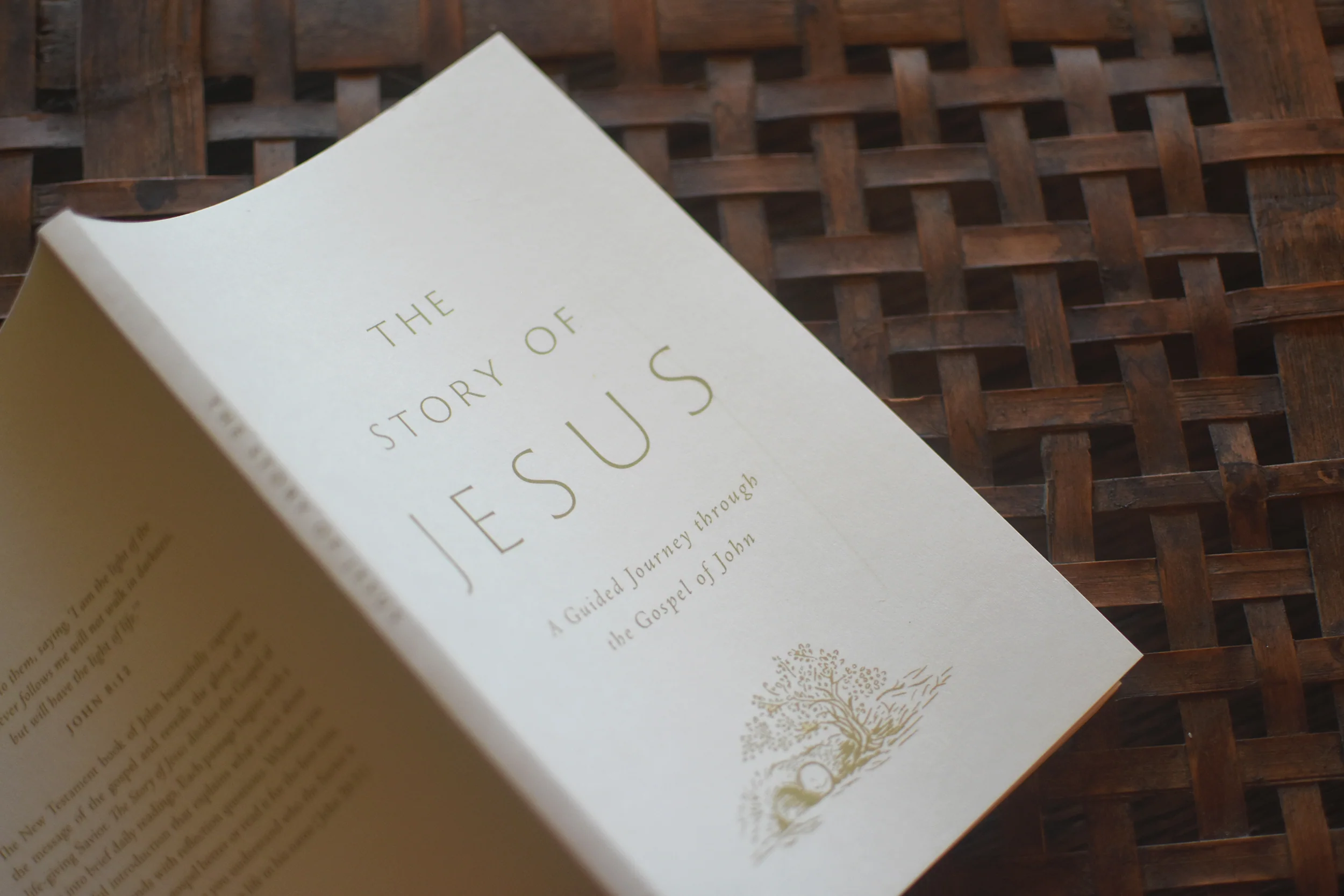 The Story of Jesus: A Guided Journey Through the Gospel of John (Paperback) - Image 8