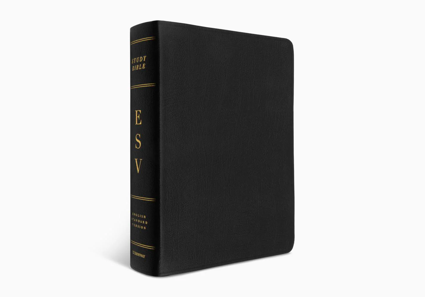 ESV Study Bible (Genuine Leather, Black, Indexed) - Image 3