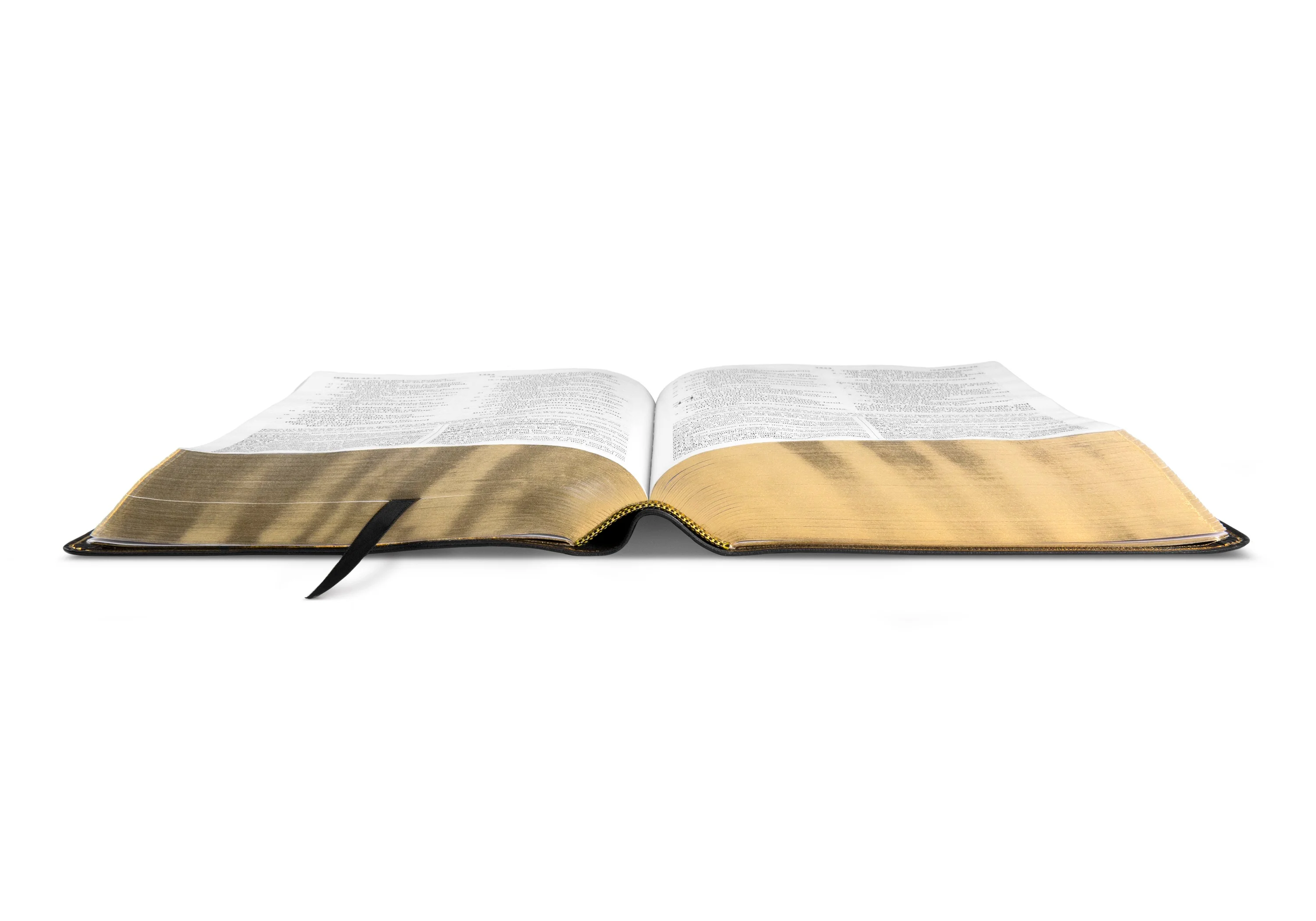 ESV Study Bible, Large Print (Genuine Leather, Black) - Image 3