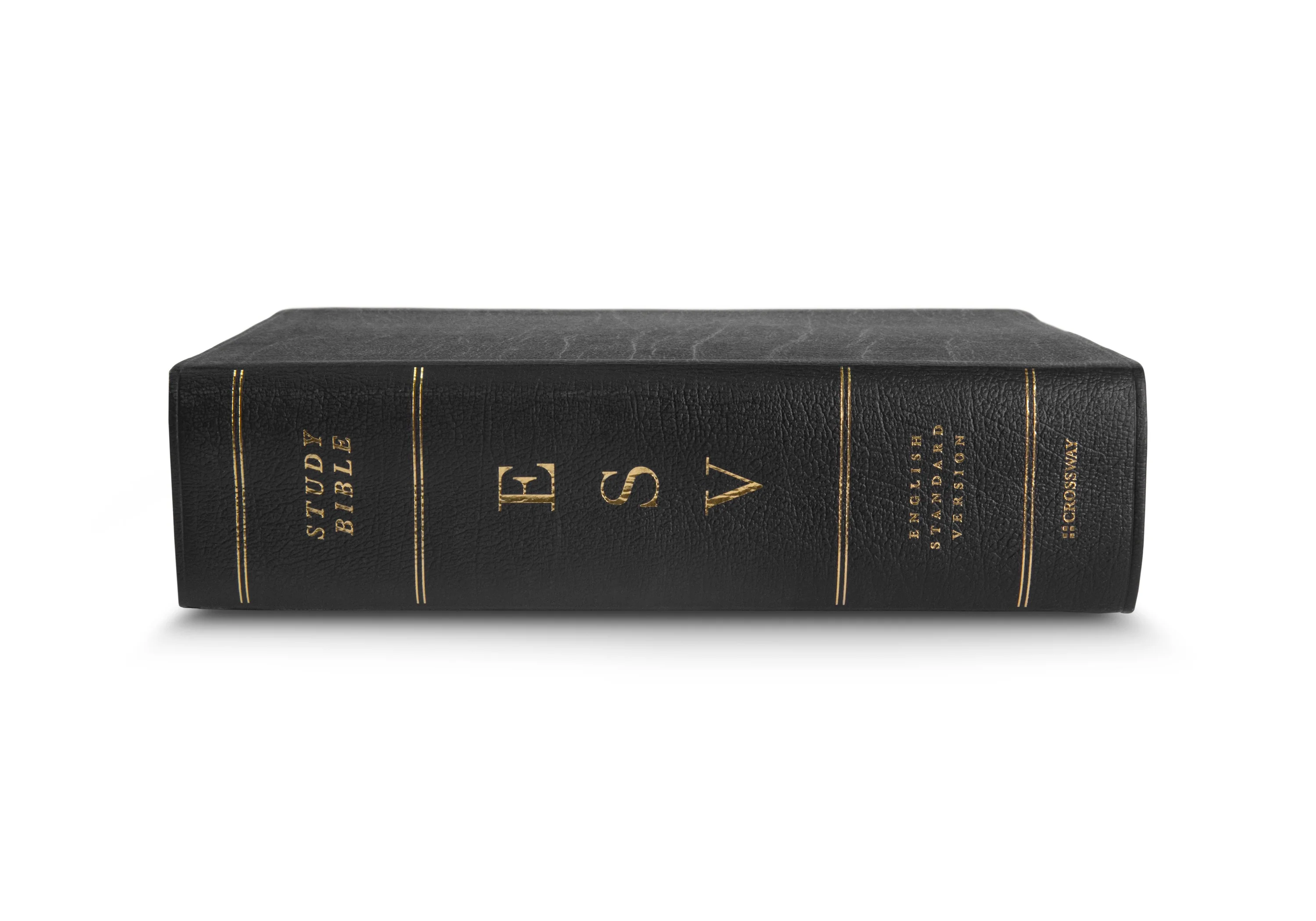 ESV Study Bible, Large Print (Genuine Leather, Black) - Image 5