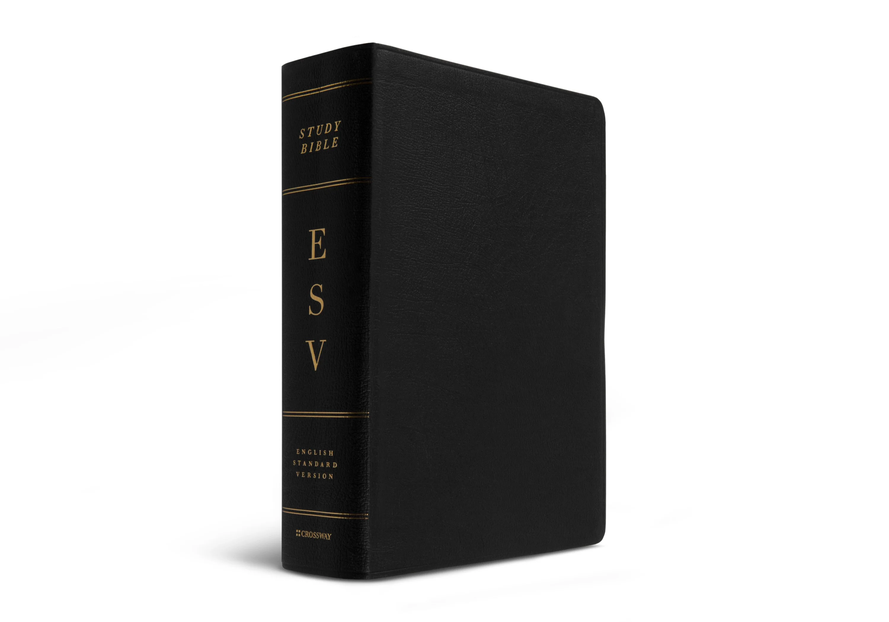 ESV Study Bible, Large Print (Genuine Leather, Black) - Image 6