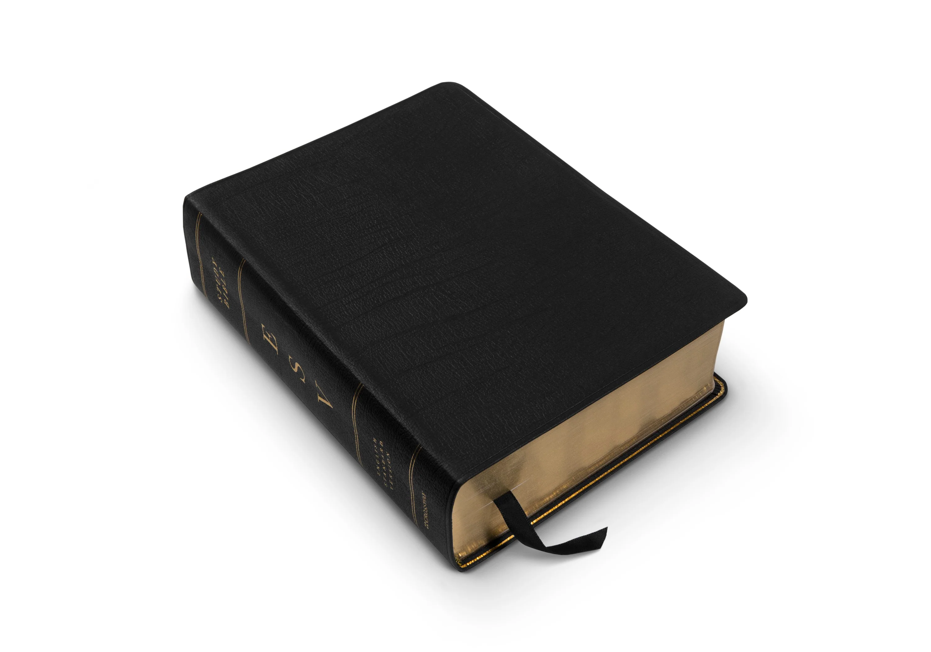 ESV Study Bible, Large Print (Genuine Leather, Black) - Image 7