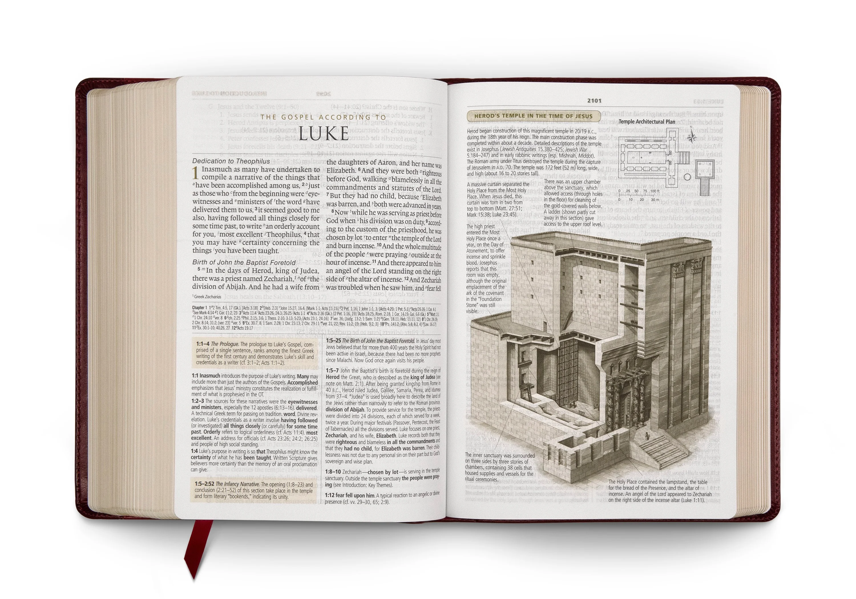 ESV Study Bible, Large Print (TruTone, Mahogany, Trellis Design) - Image 3