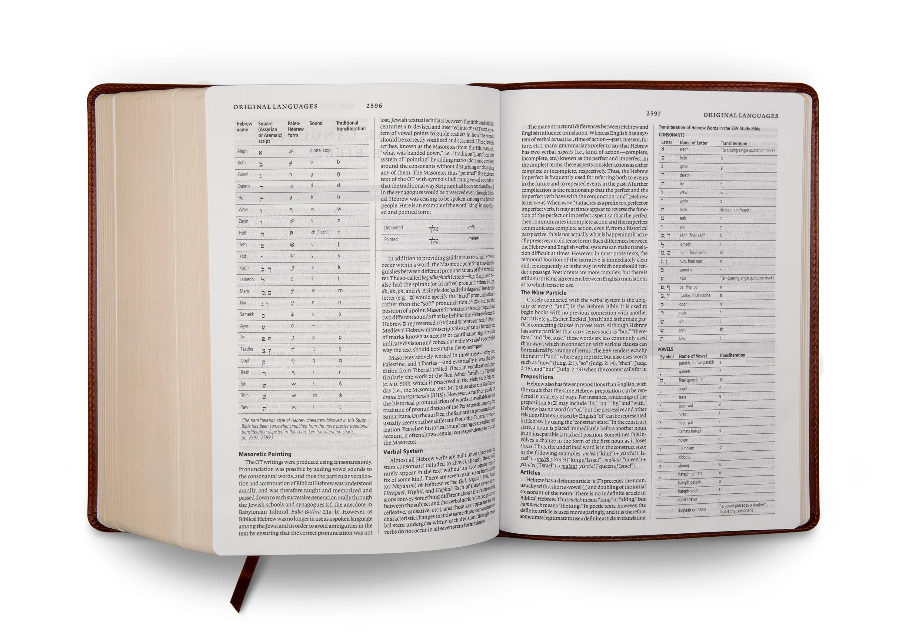 ESV Study Bible (TruTone, Walnut, Celtic Imprint Design) - Image 5