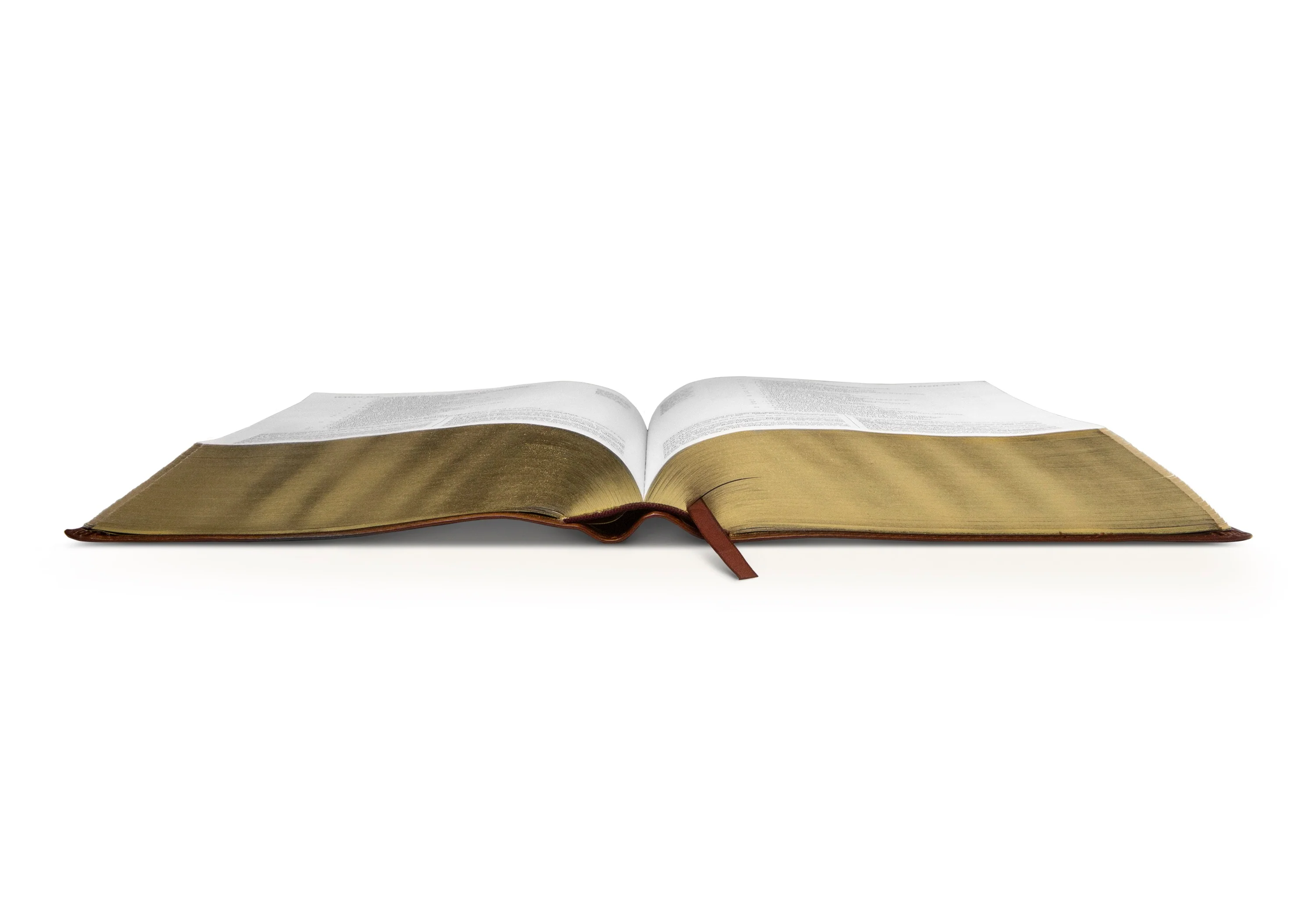 ESV Study Bible (TruTone, Walnut, Celtic Imprint Design) - Image 9