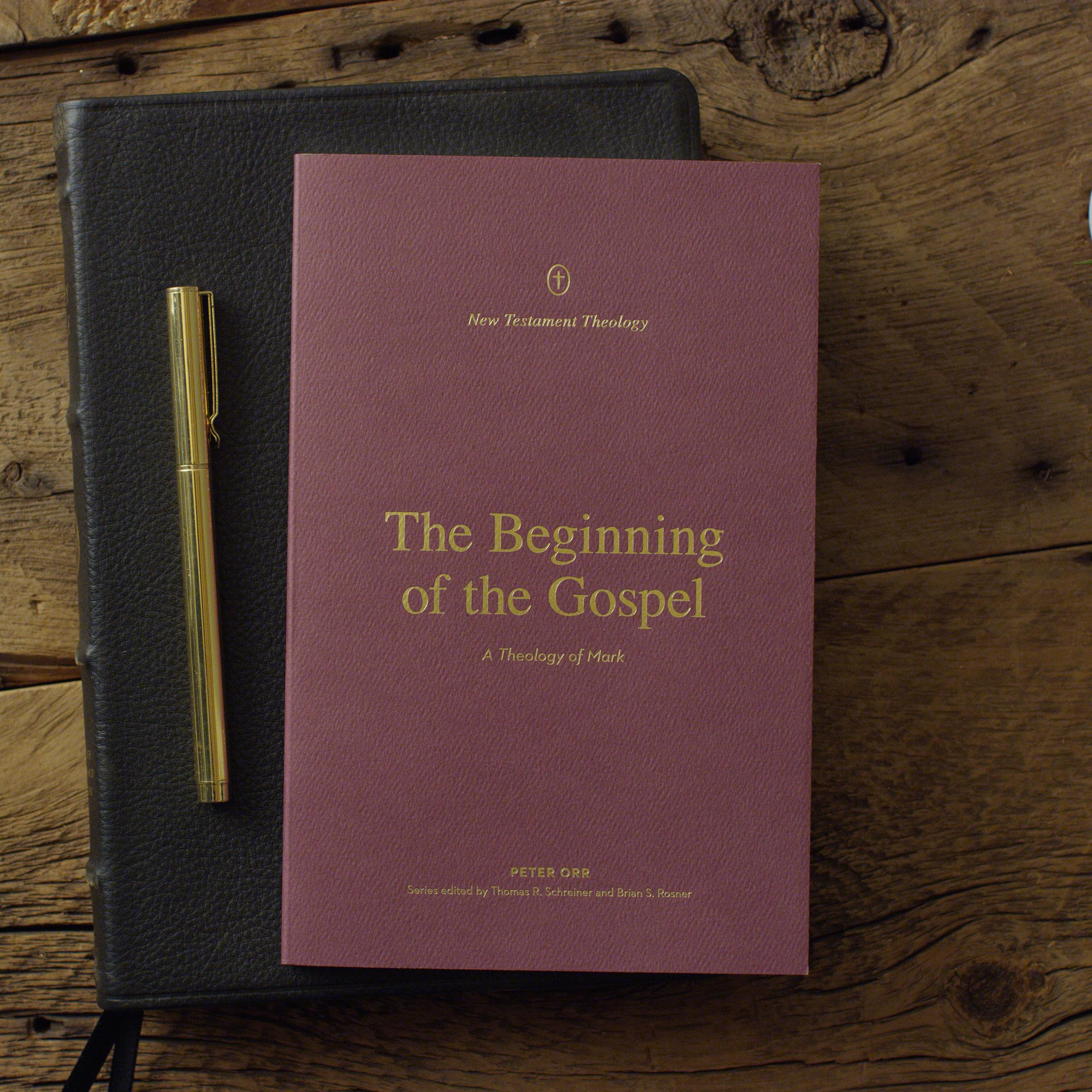 The Beginning of the Gospel: A Theology of Mark (New Testament Theology) - Image 2