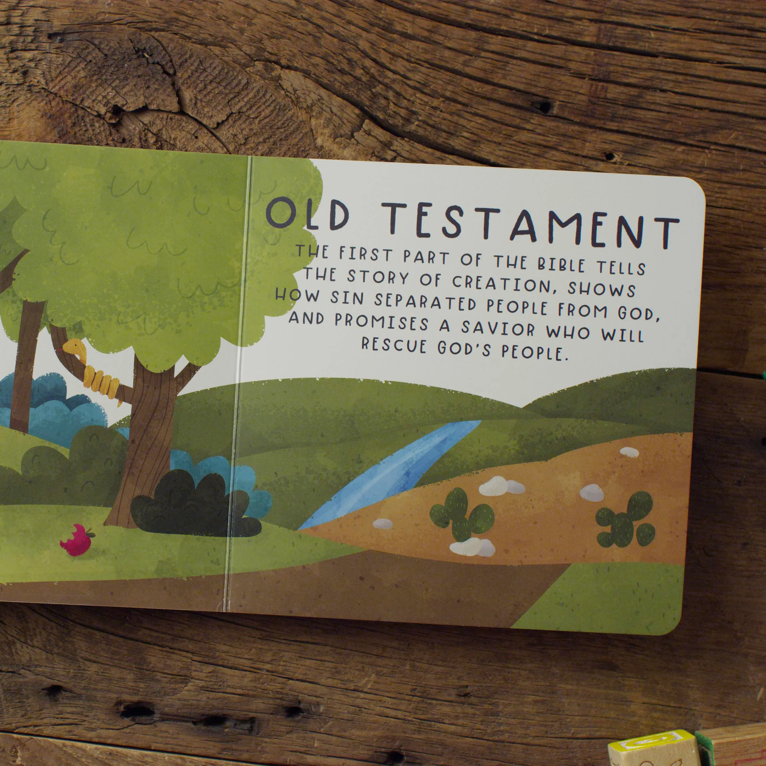 The Bible (Big Theology for Little Hearts) - Image 3
