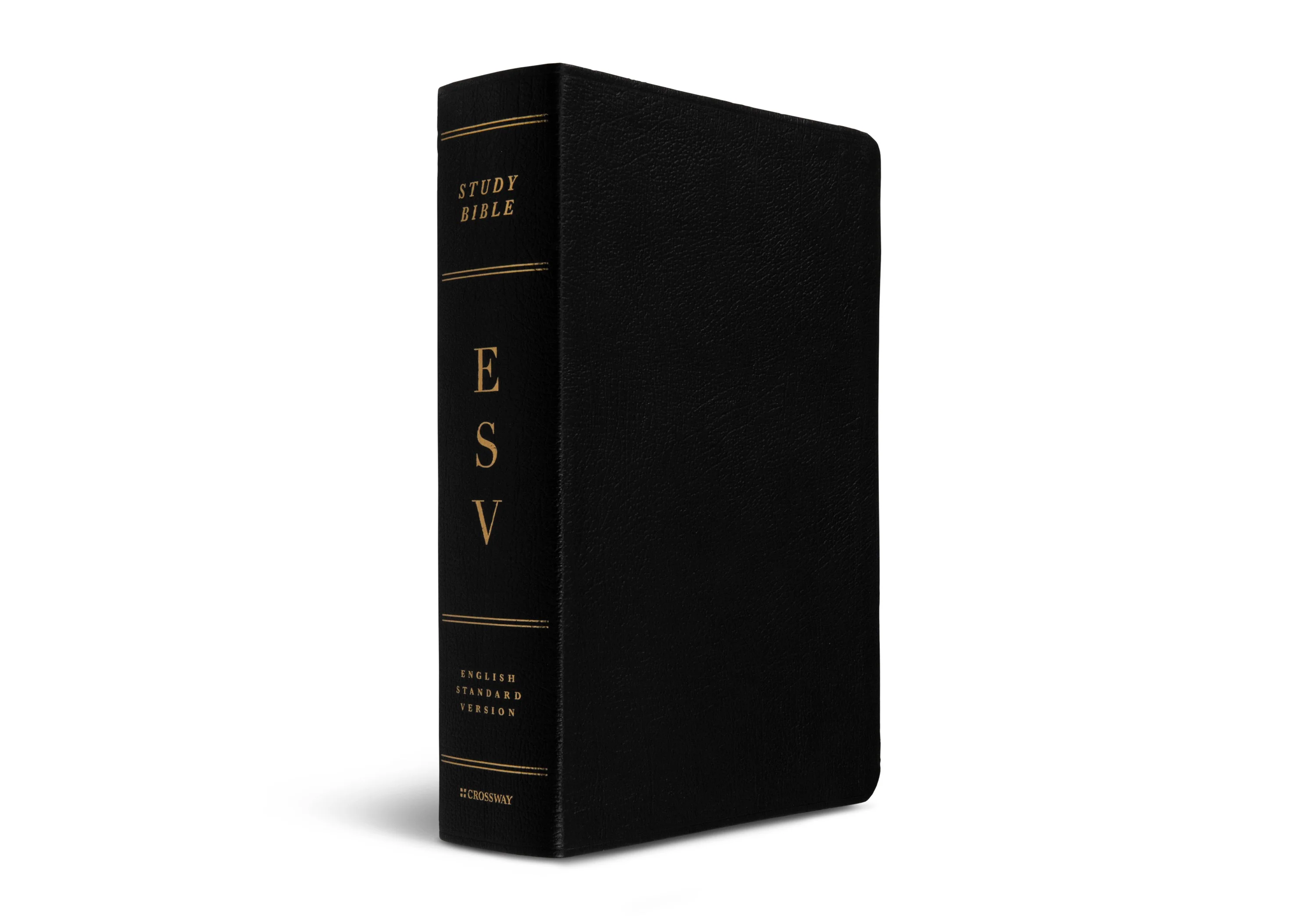 ESV Study Bible (Genuine Leather, Black) - Image 2