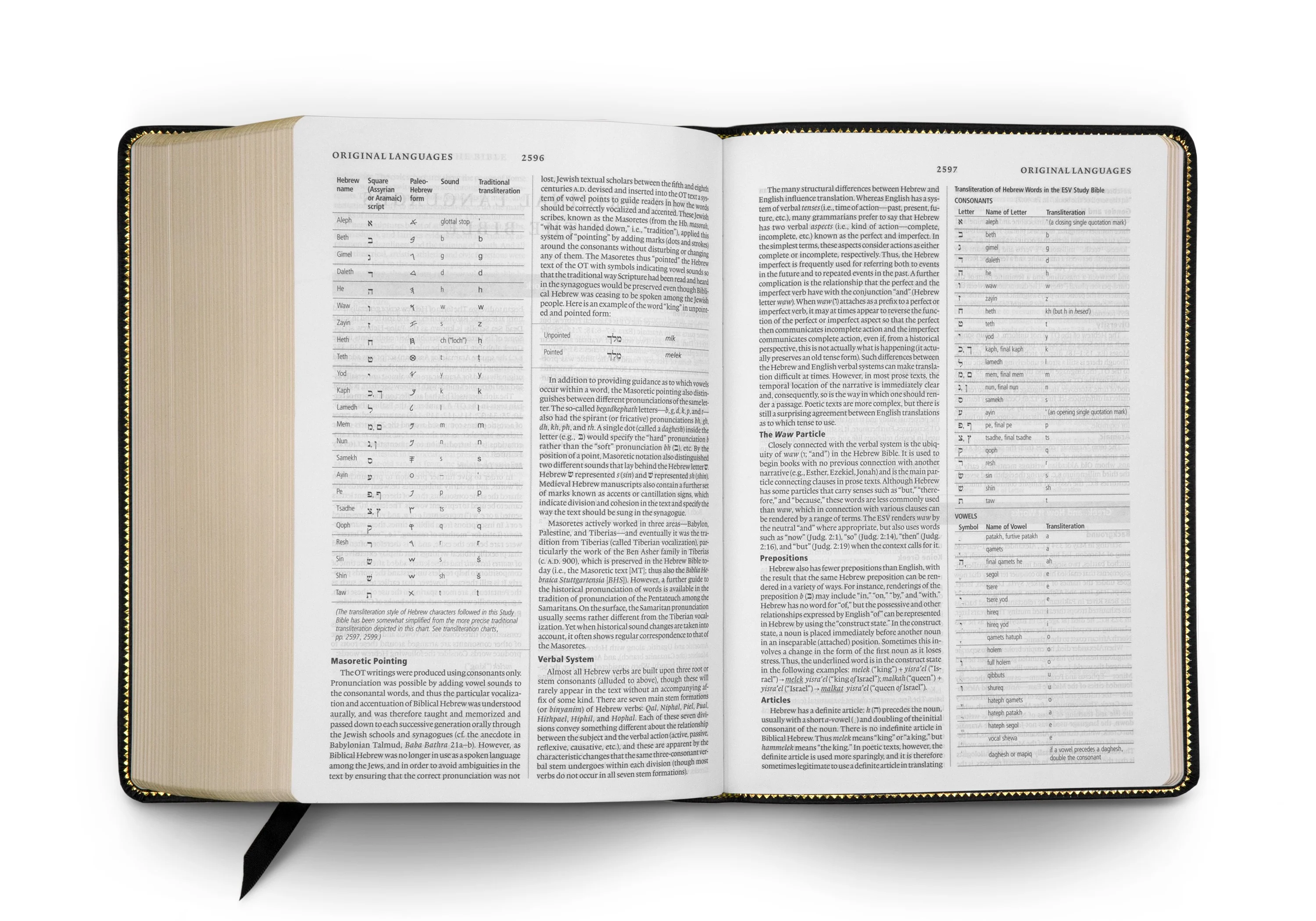 ESV Study Bible (Genuine Leather, Black) - Image 3