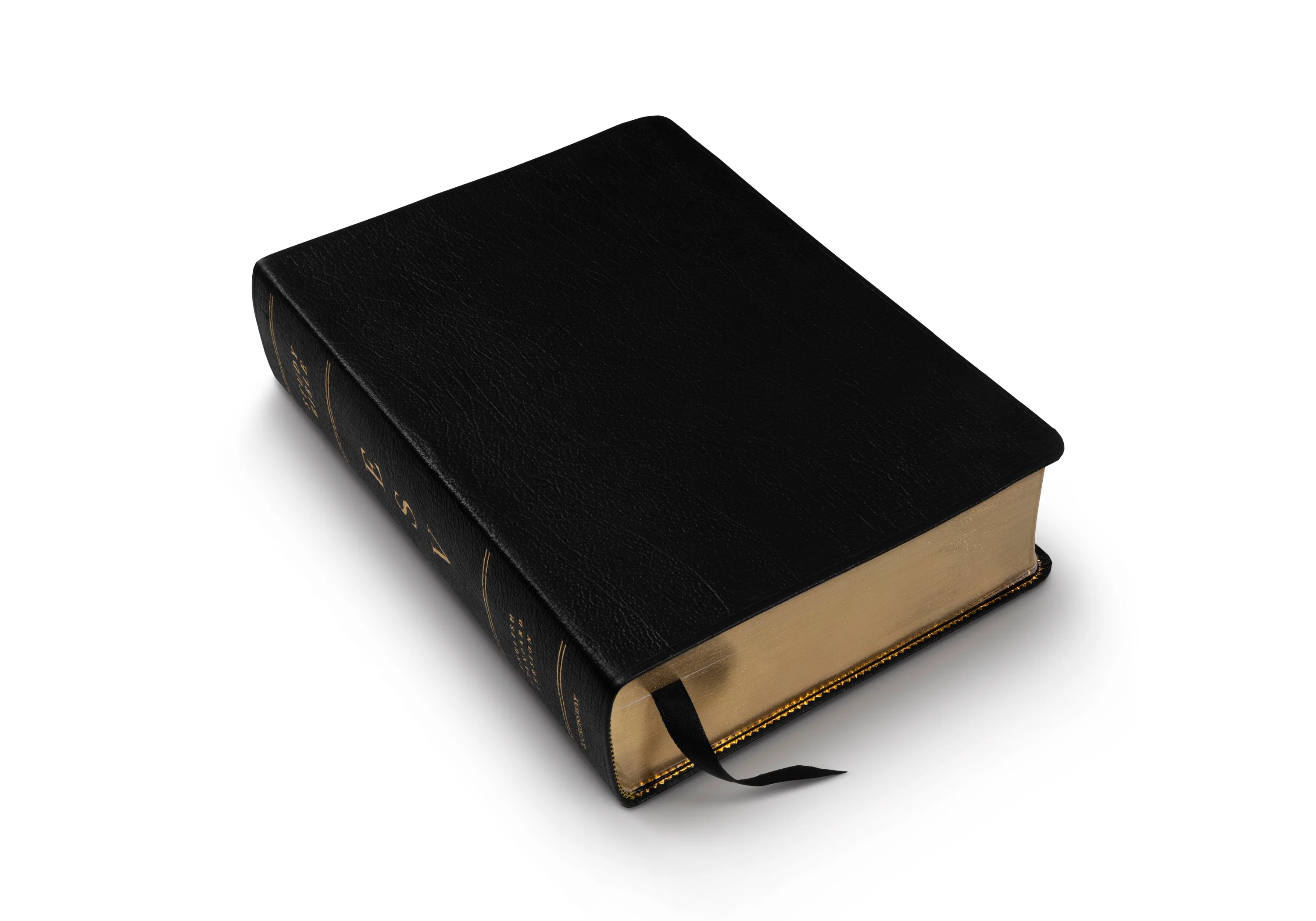 ESV Study Bible (Genuine Leather, Black) - Image 4
