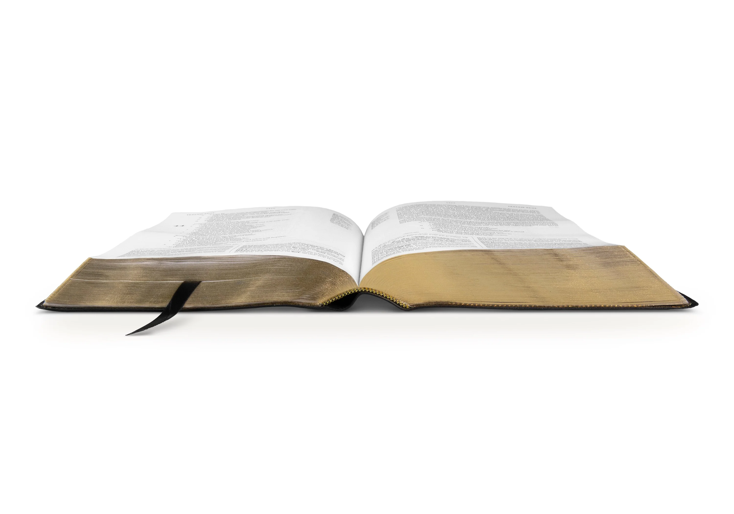 ESV Study Bible (Genuine Leather, Black) - Image 5