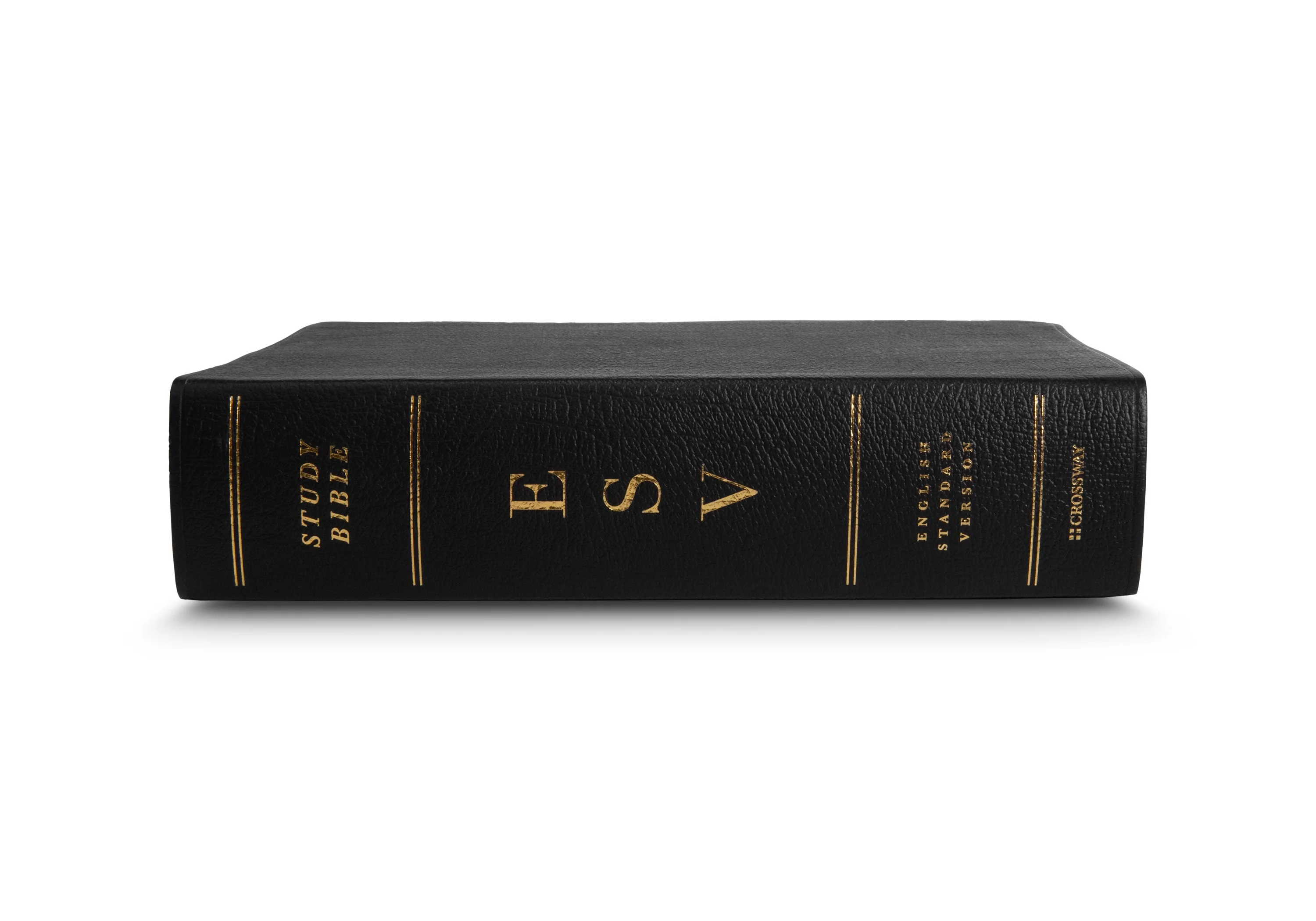 ESV Study Bible (Genuine Leather, Black) - Image 6