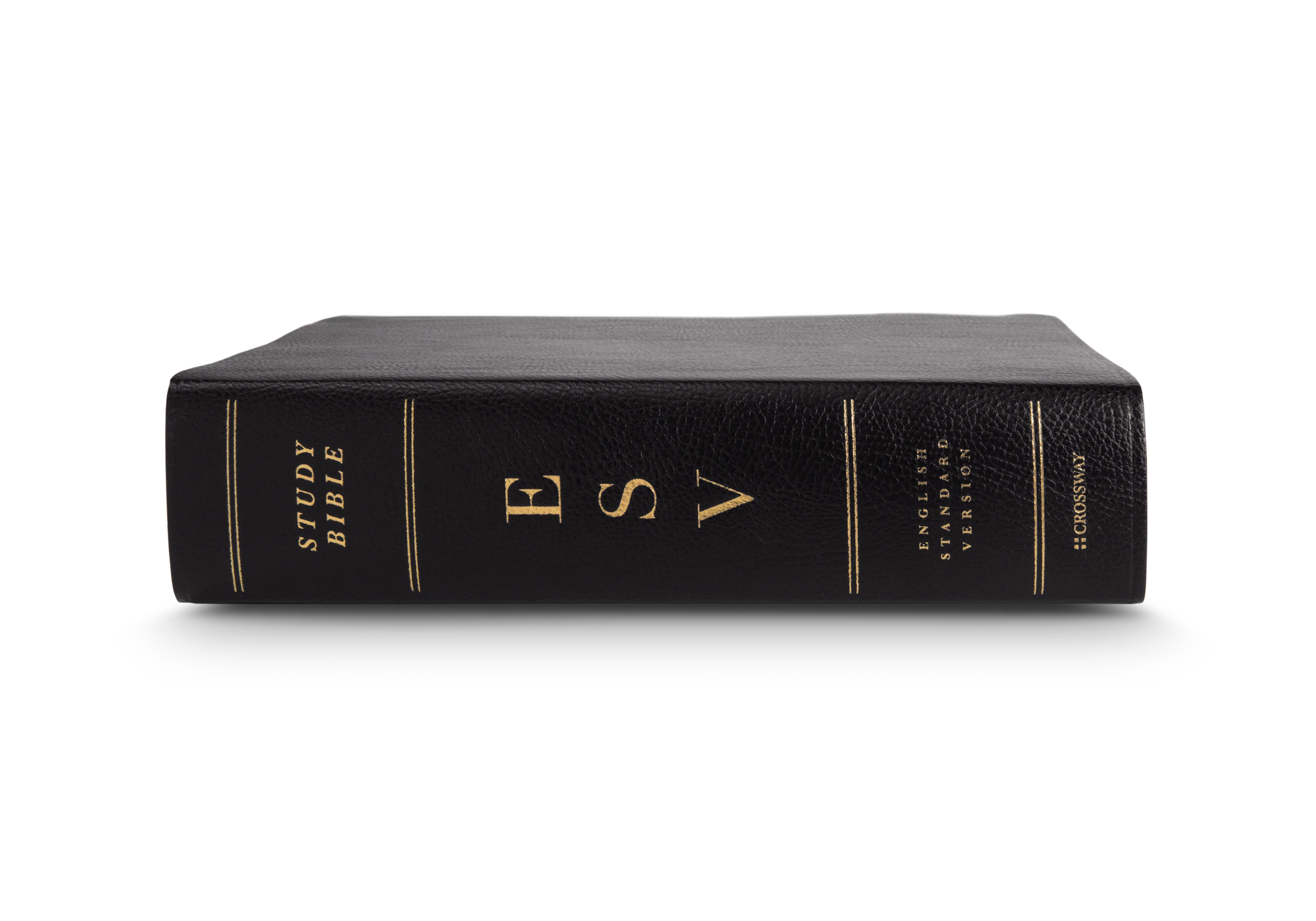 ESV Study Bible (Bonded Leather, Black) - Image 4