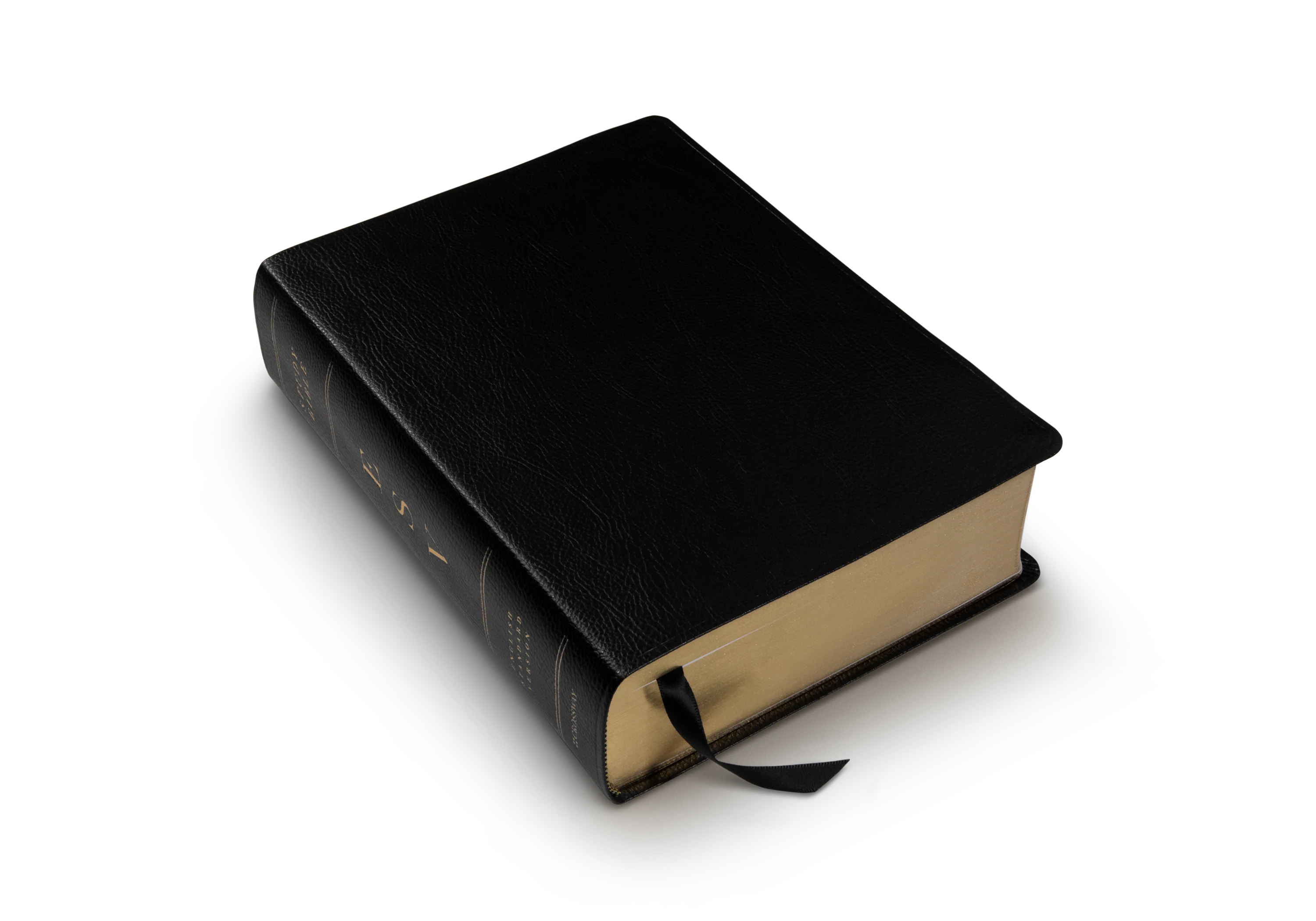 ESV Study Bible (Bonded Leather, Black) - Image 5