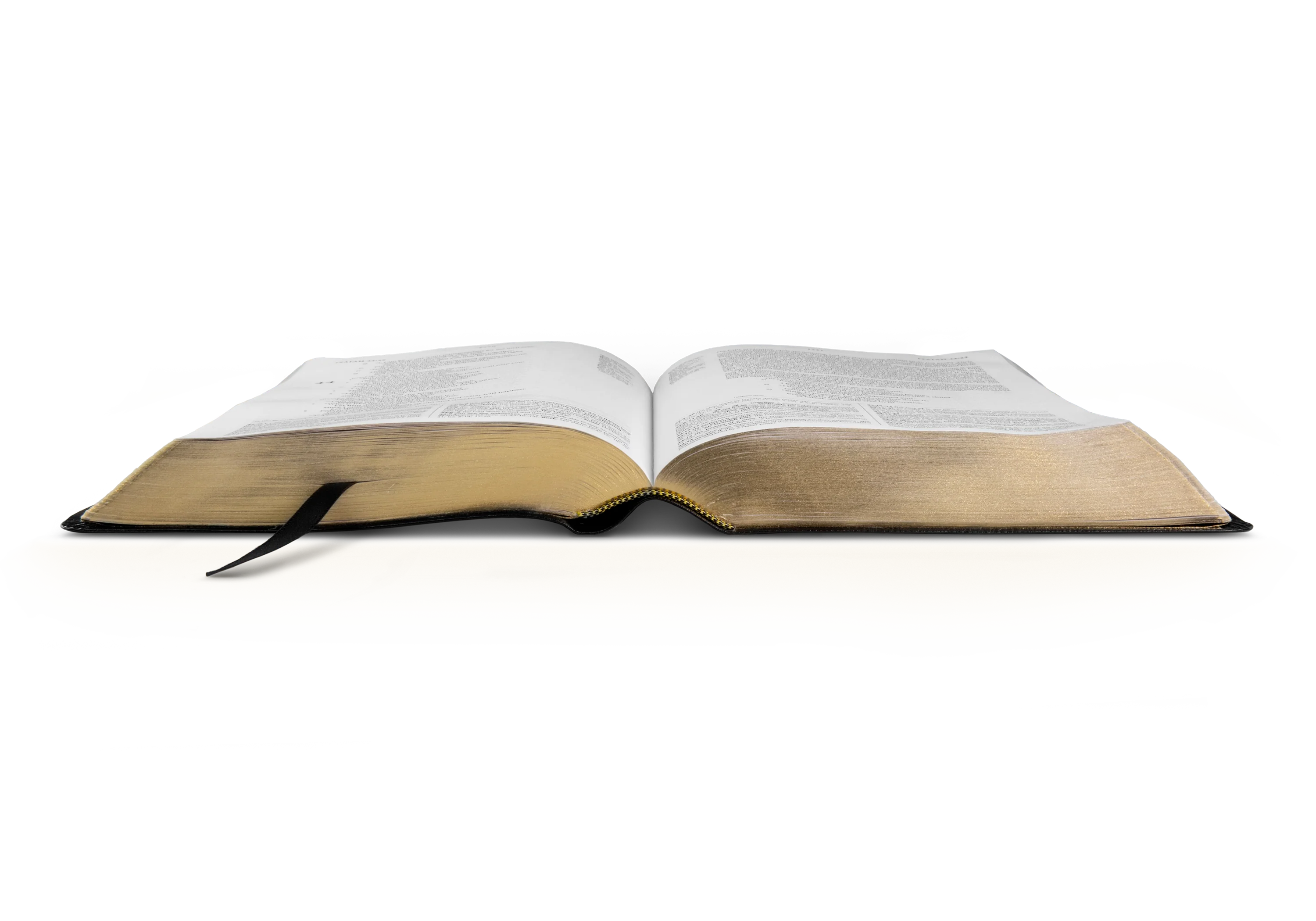 ESV Study Bible (Bonded Leather, Black) - Image 9