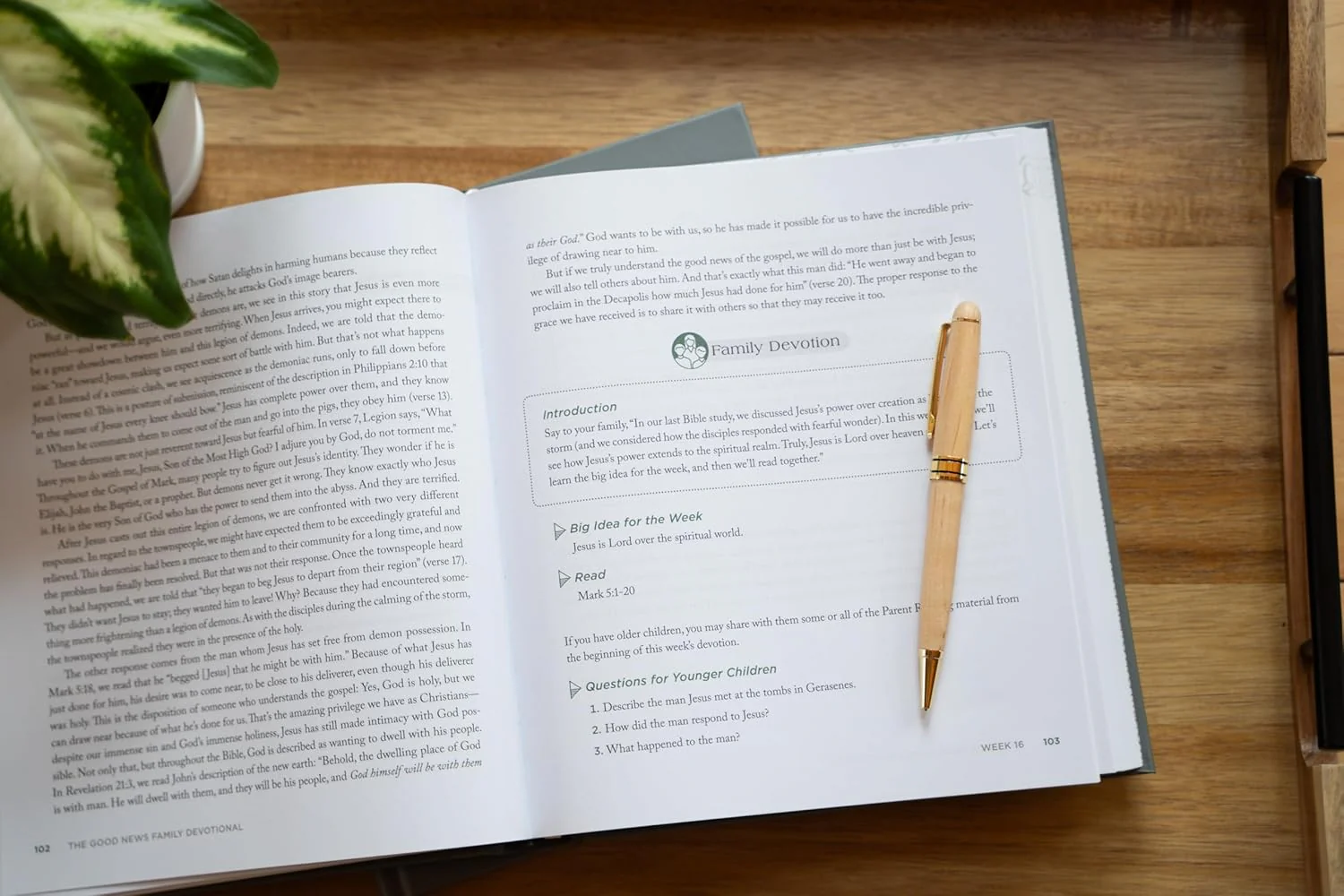 The Good News Family Devotional: 52 Weeks Through the Gospel of Mark - Image 3
