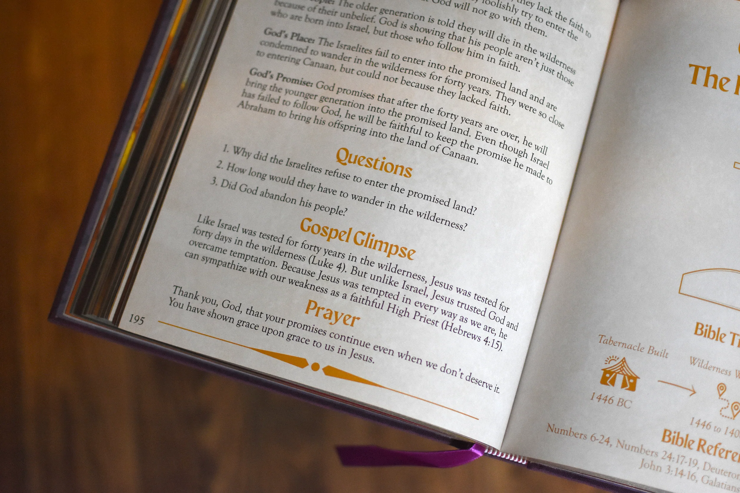 The Kingdom of God Storybook Bible, Old Testament - Image 5