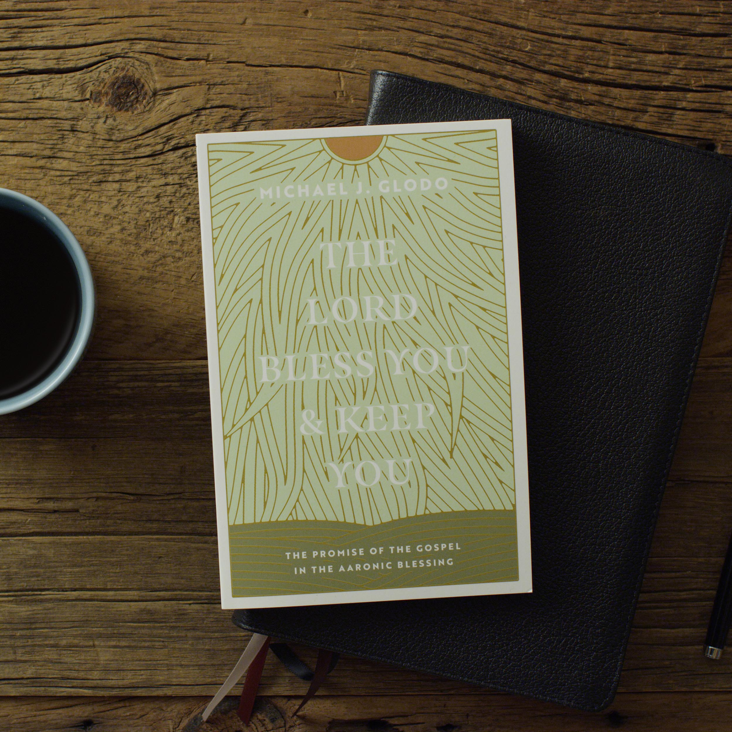 The Lord Bless You and Keep You: The Promise of the Gospel in the Aaronic Blessing - Image 2