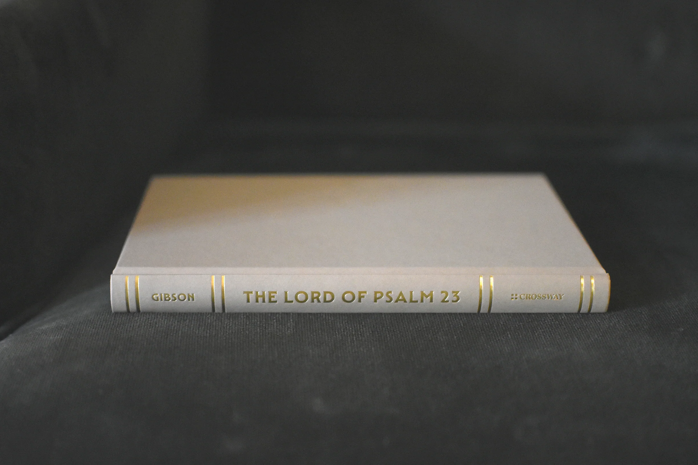 The Lord of Psalm 23: Jesus Our Shepherd, Companion, and Host - Image 3
