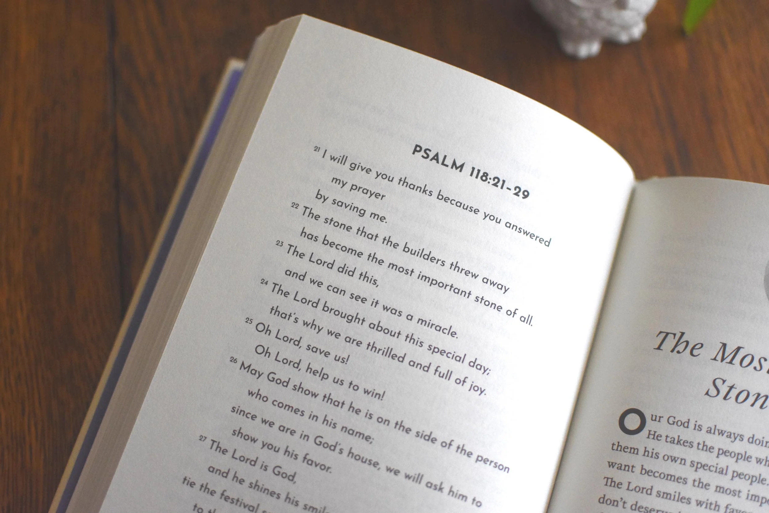 The Lord Saves Me: 40 Christ-Centered Family Devotions from the Psalms - Image 6