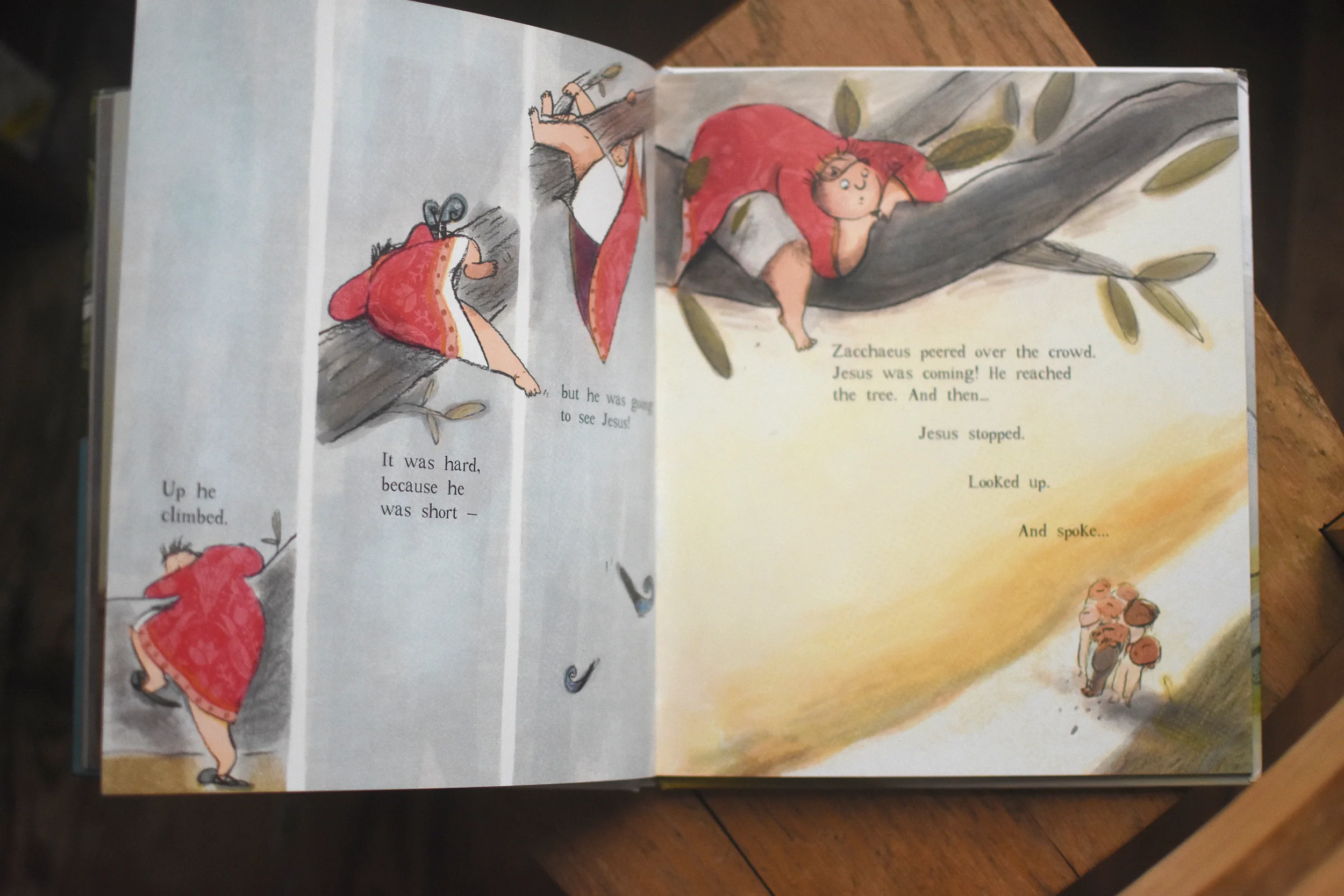 The Man in the Tree and the Brand New Start: A True Story about Zacchaeus and the Difference Knowing Jesus Makes (Tales That Tell the Truth) - Image 4