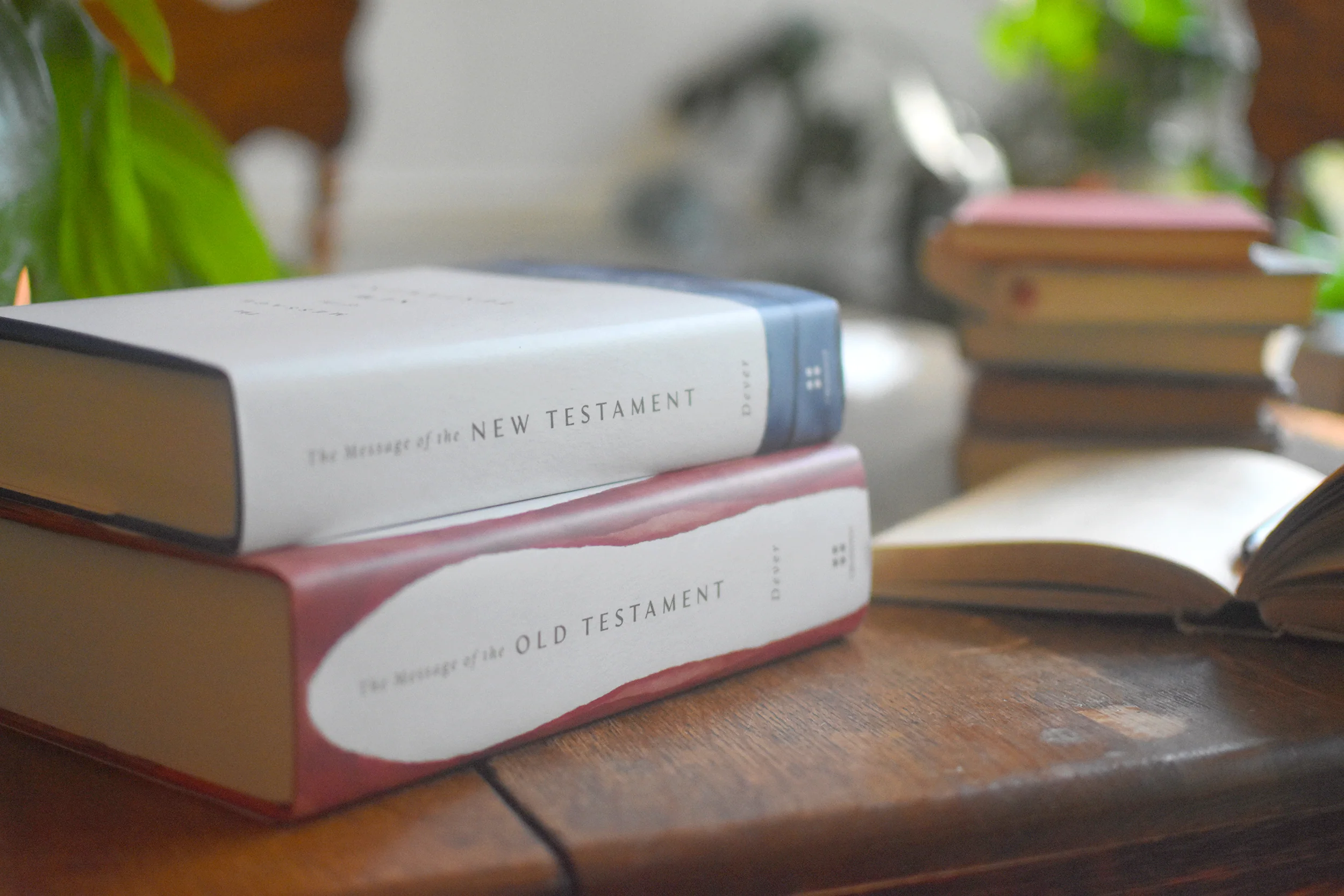 The Message of the Old and New Testament Bundle - Image 5
