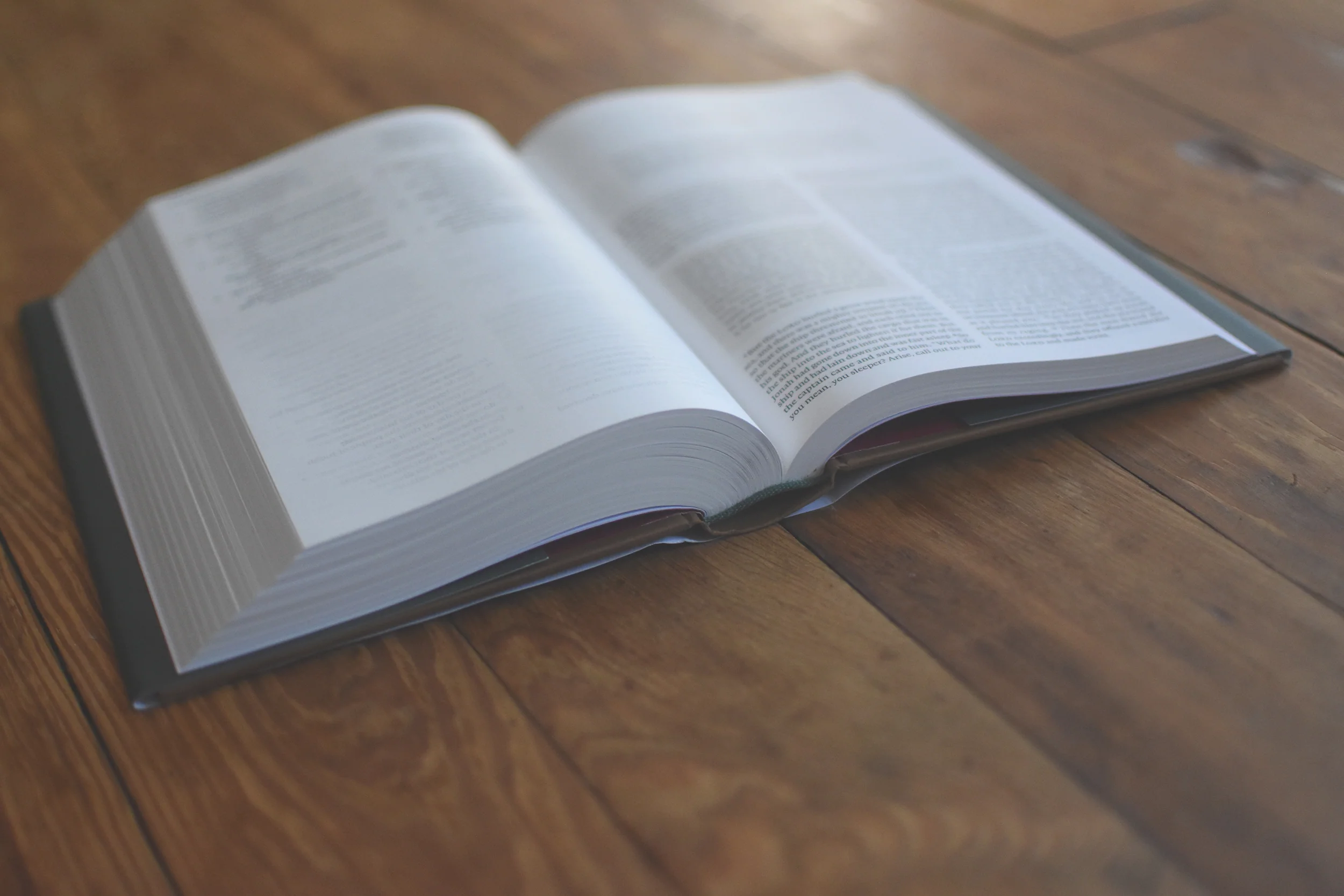 The One Story Bible: Tracing the Thread of Redemption Through God's Word (Hardcover) - Image 3