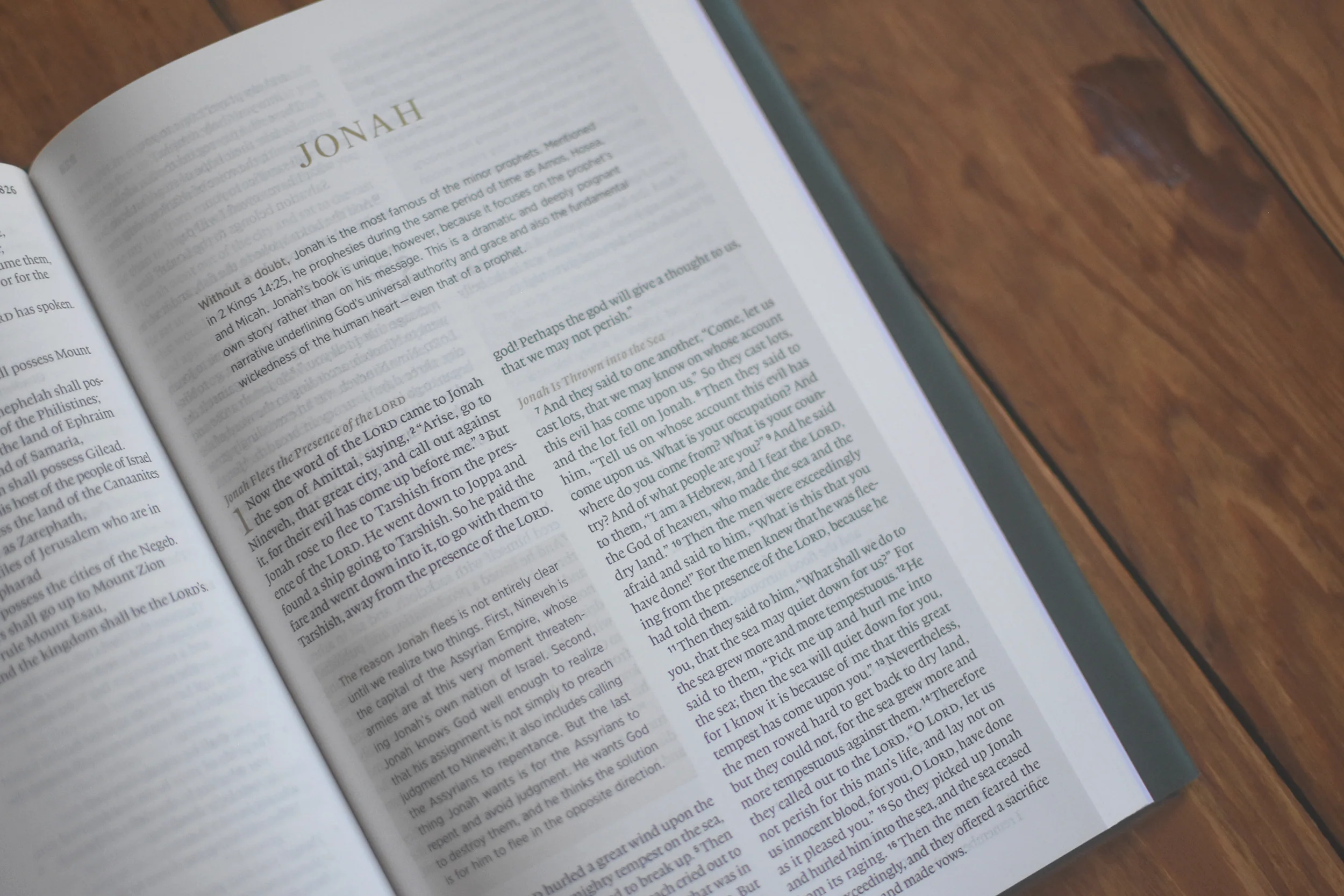 The One Story Bible: Tracing the Thread of Redemption Through God's Word (Hardcover) - Image 4