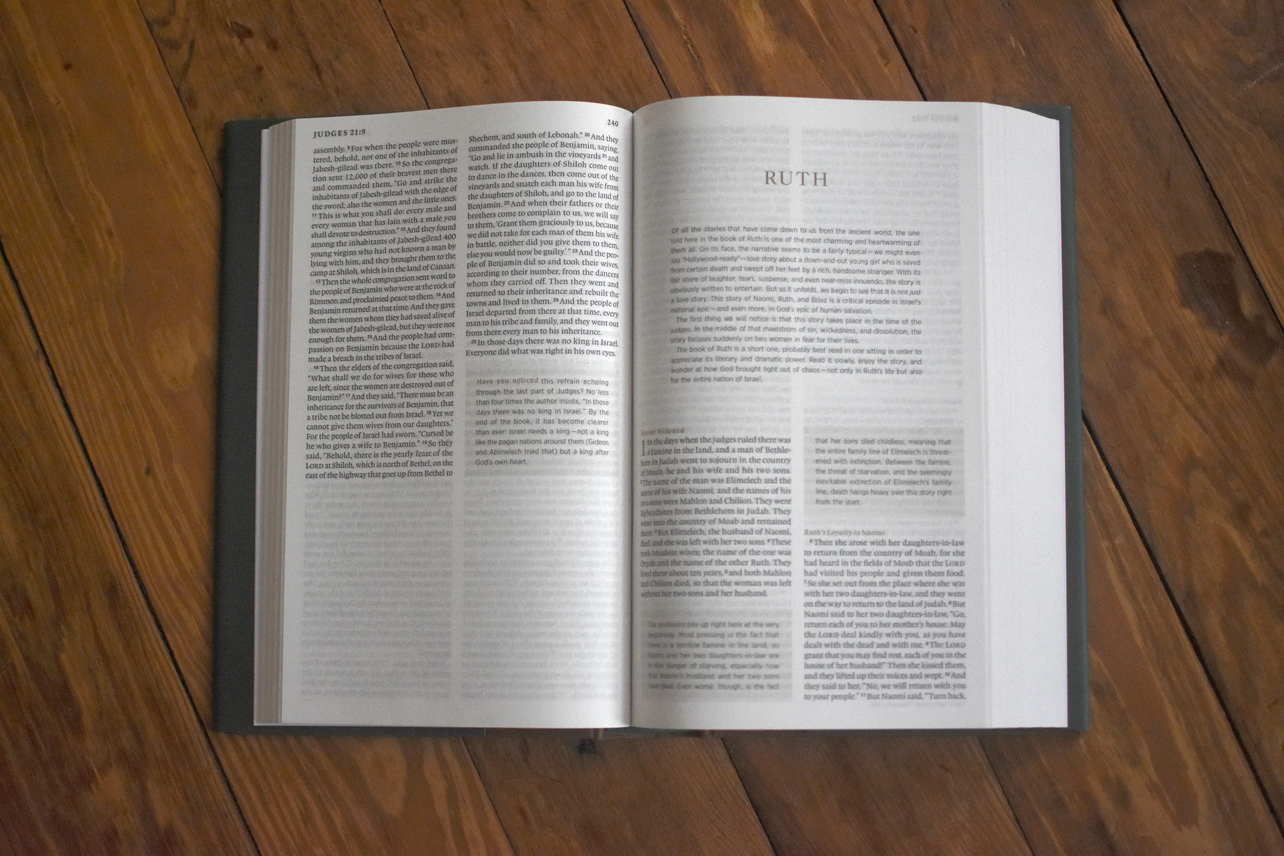 The One Story Bible: Tracing the Thread of Redemption Through God's Word (Hardcover) - Image 5
