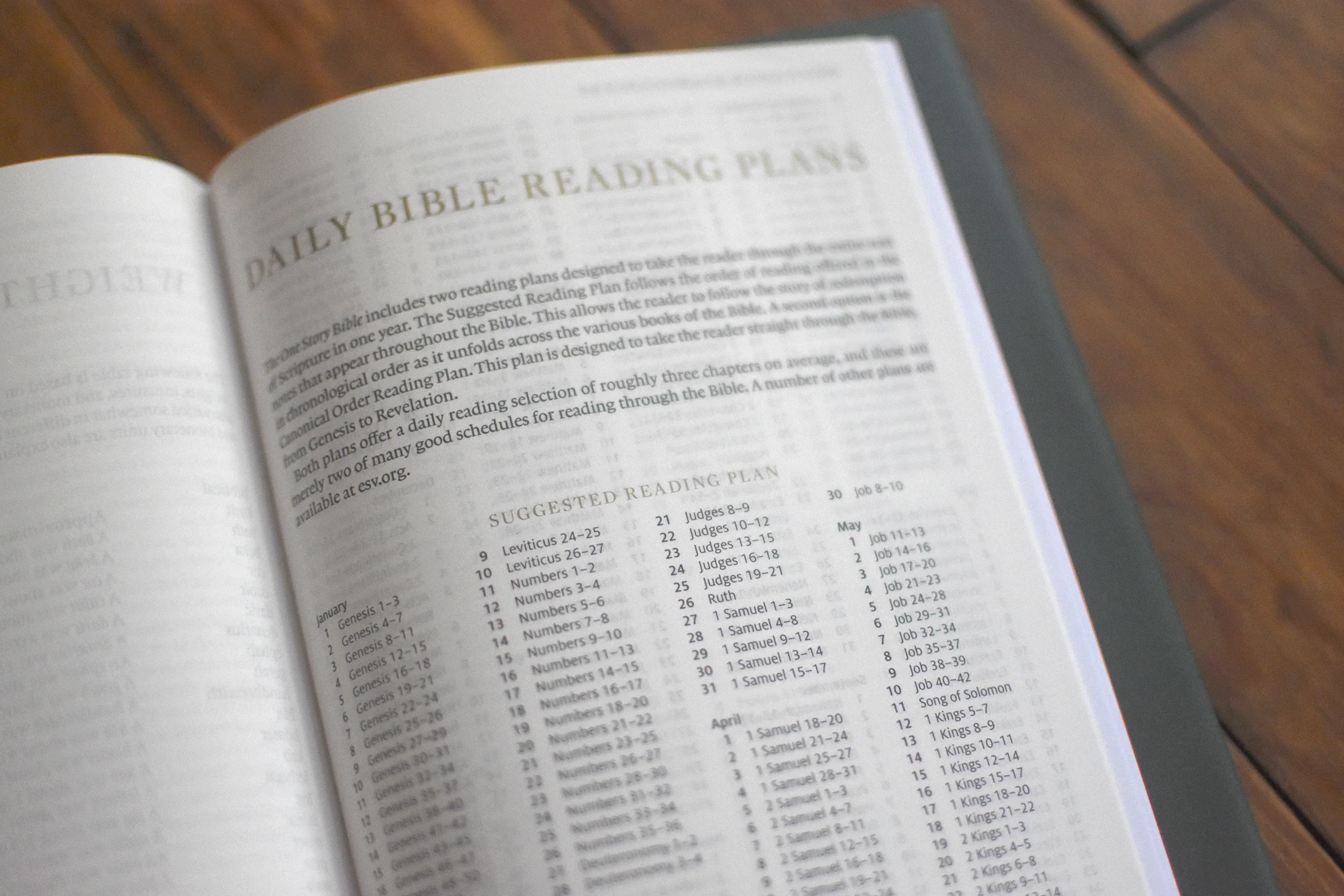 The One Story Bible: Tracing the Thread of Redemption Through God's Word (Hardcover) - Image 6