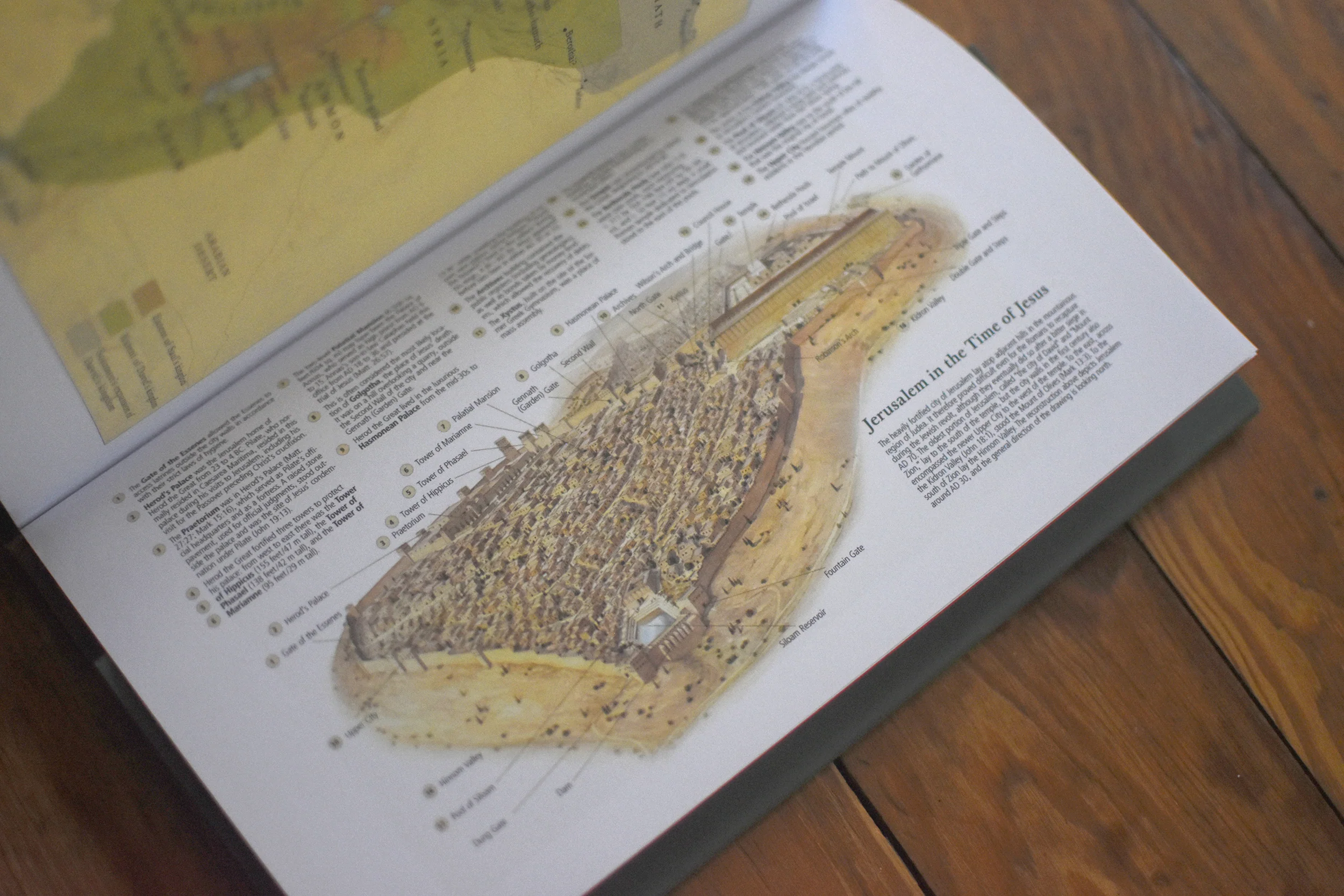 The One Story Bible: Tracing the Thread of Redemption Through God's Word (Hardcover) - Image 7