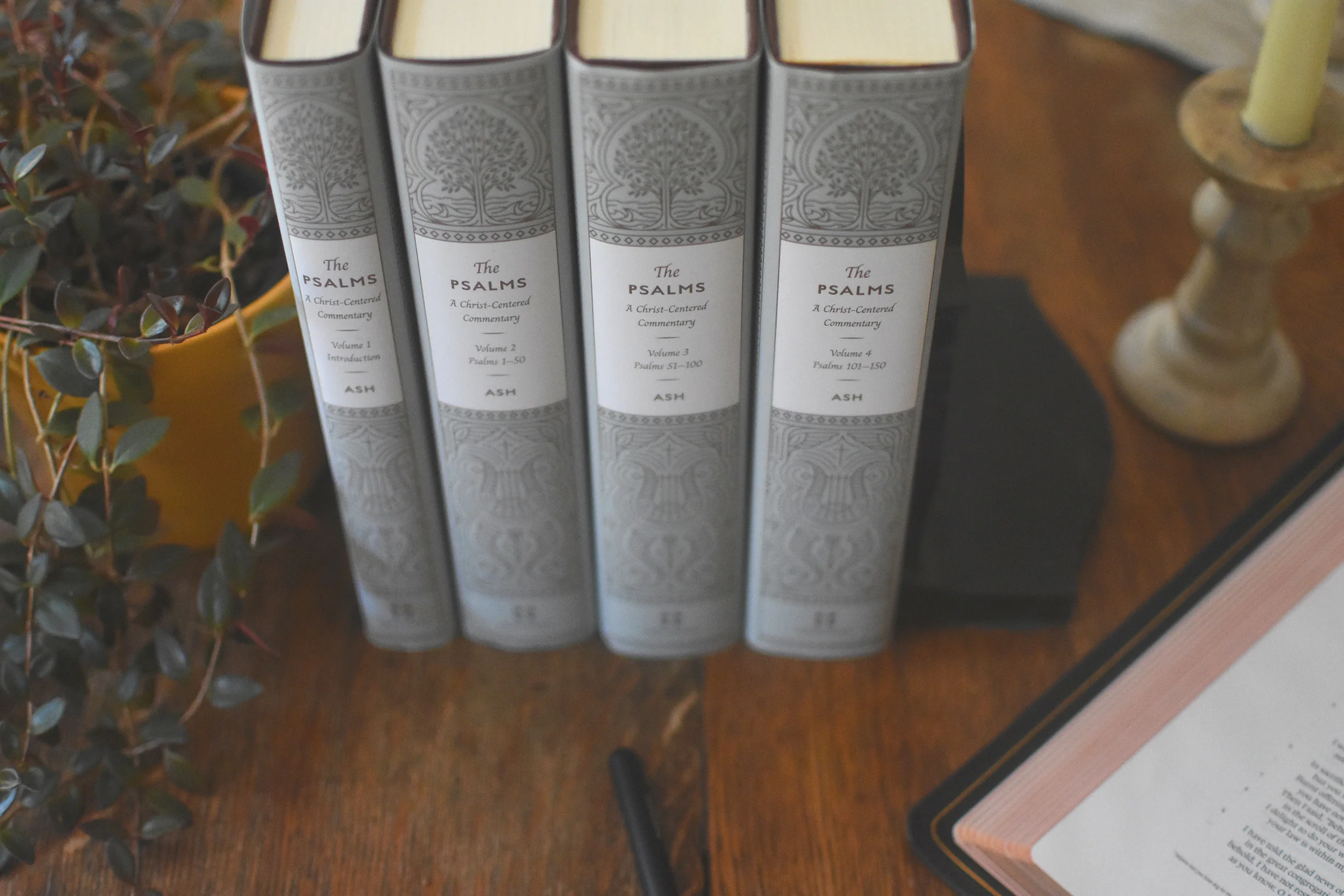 The Psalms: A Christ-Centered Commentary (4-Volume Set) - Image 11