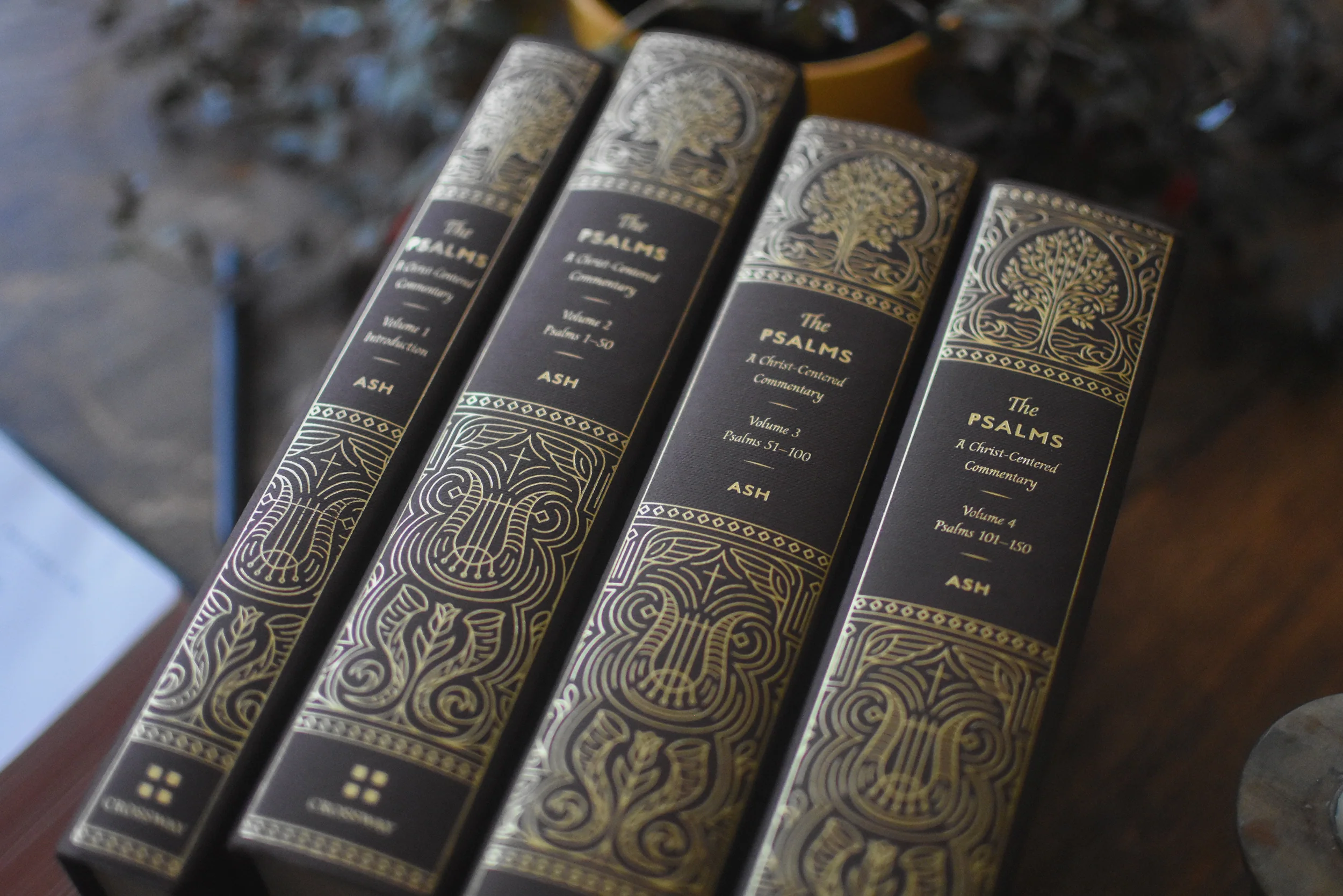 The Psalms: A Christ-Centered Commentary (4-Volume Set) - Image 4