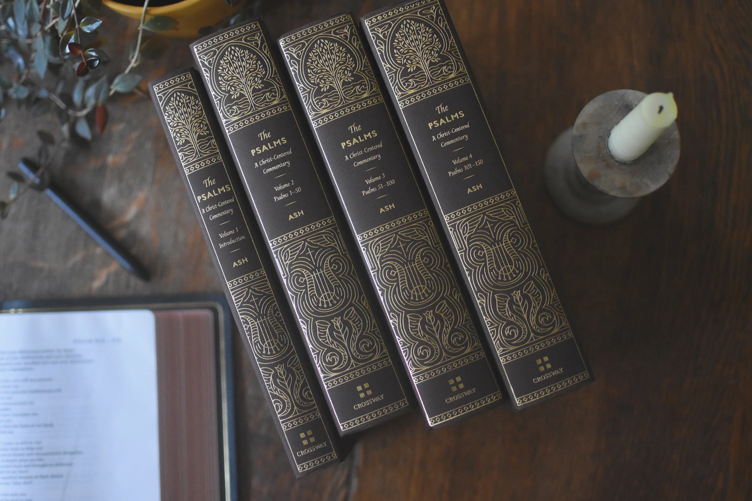 The Psalms: A Christ-Centered Commentary (4-Volume Set) - Image 5