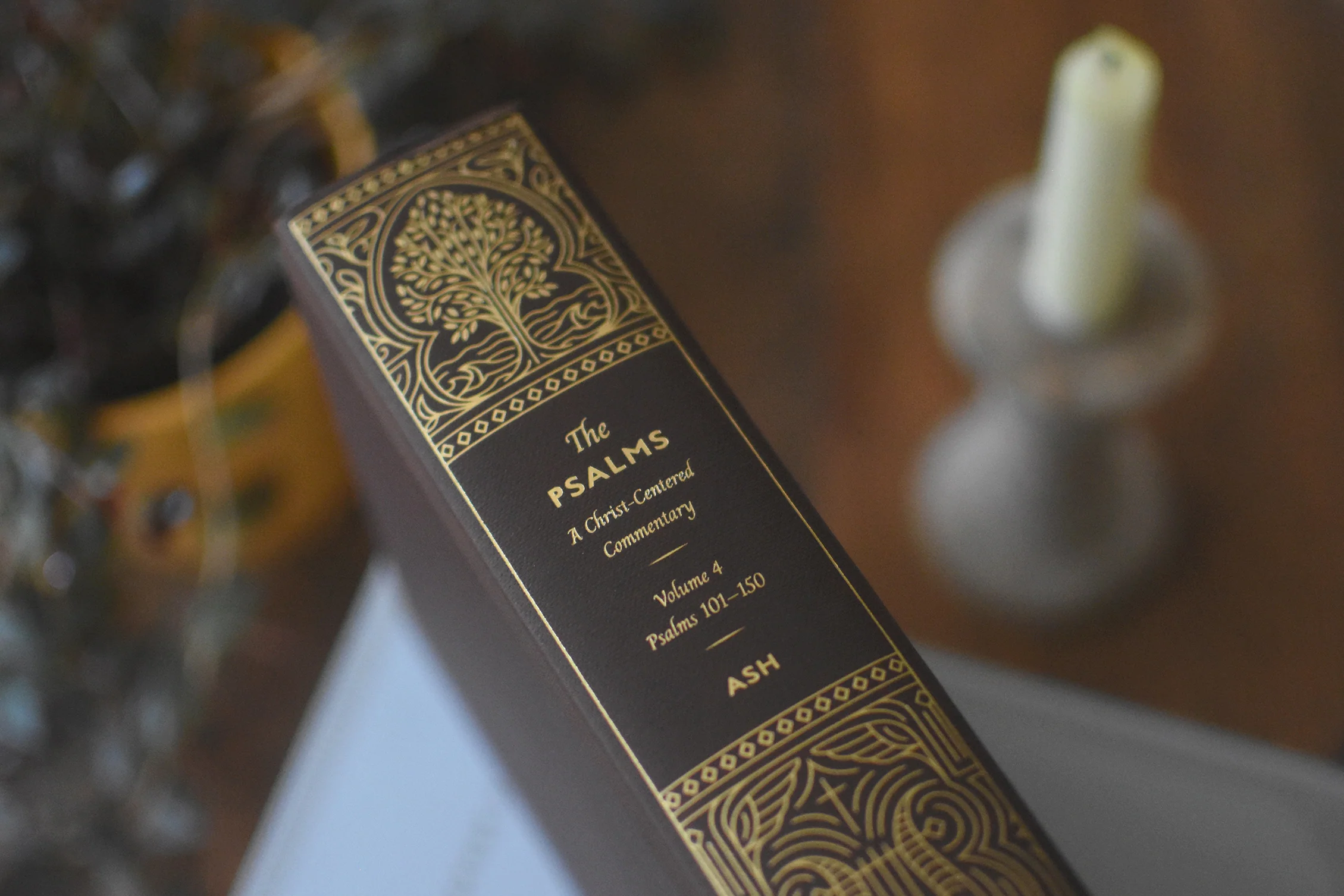The Psalms: A Christ-Centered Commentary (4-Volume Set) - Image 6